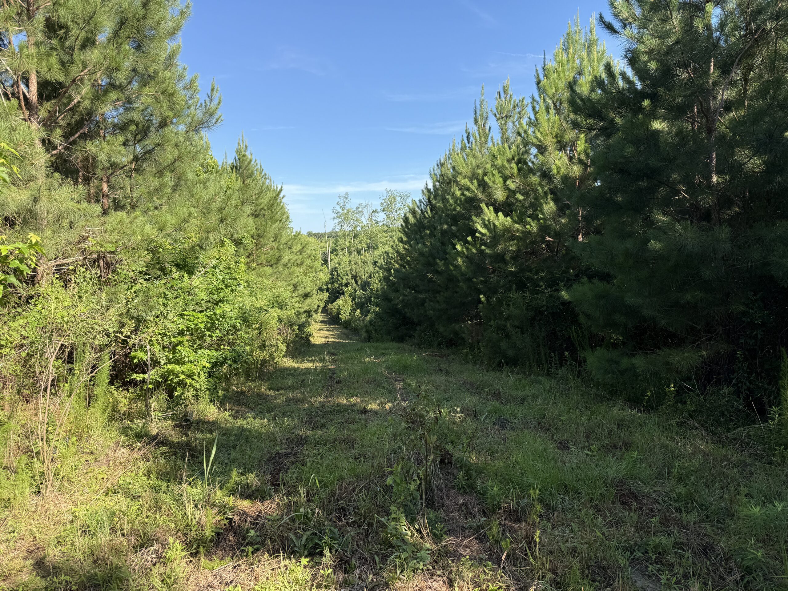 101 Acres on Roanoke River — Hunt, Fish & Build!