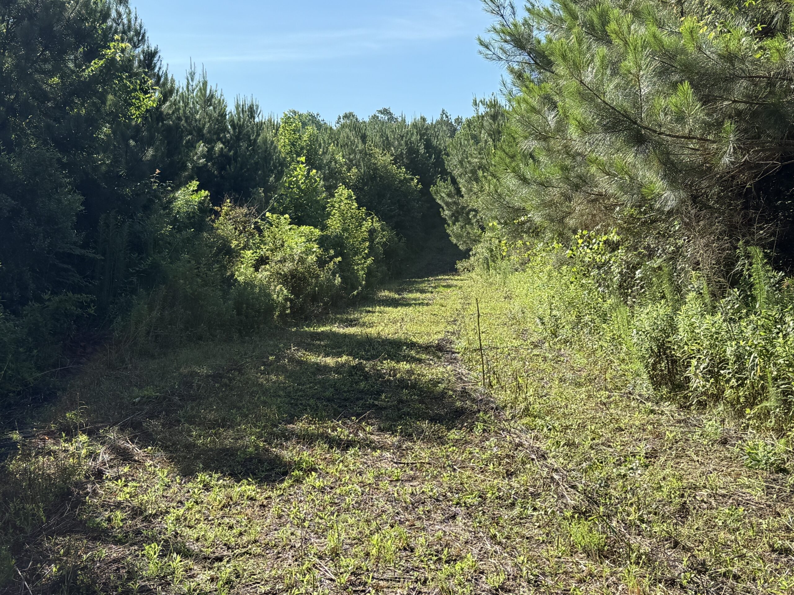 101 Acres on Roanoke River — Hunt, Fish & Build!