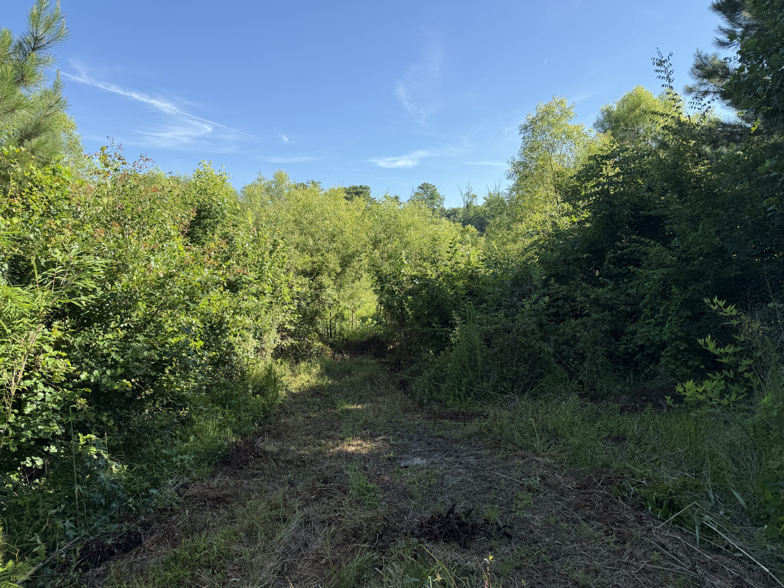 101 Acres on Roanoke River — Hunt, Fish & Build!
