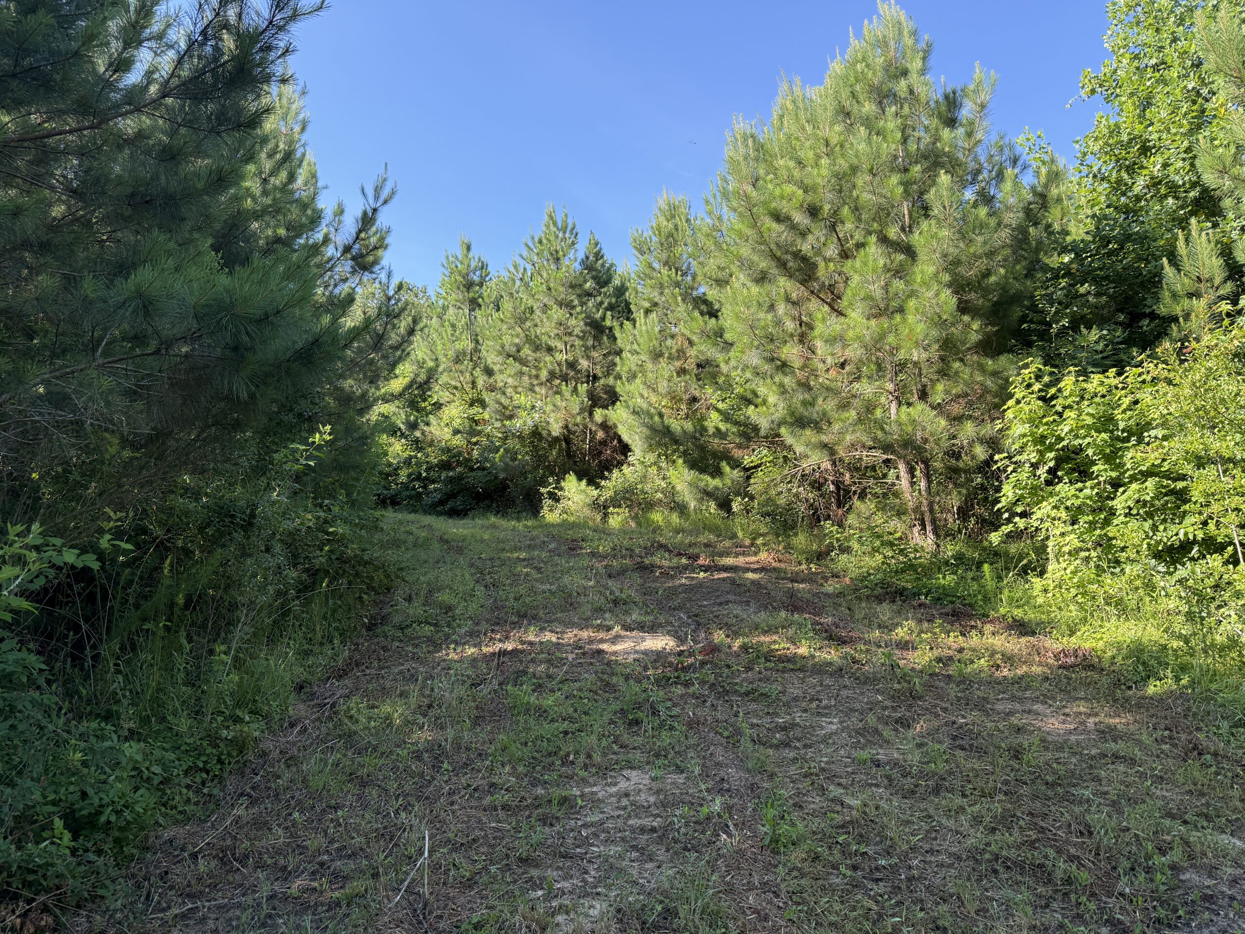 101 Acres on Roanoke River — Hunt, Fish & Build!