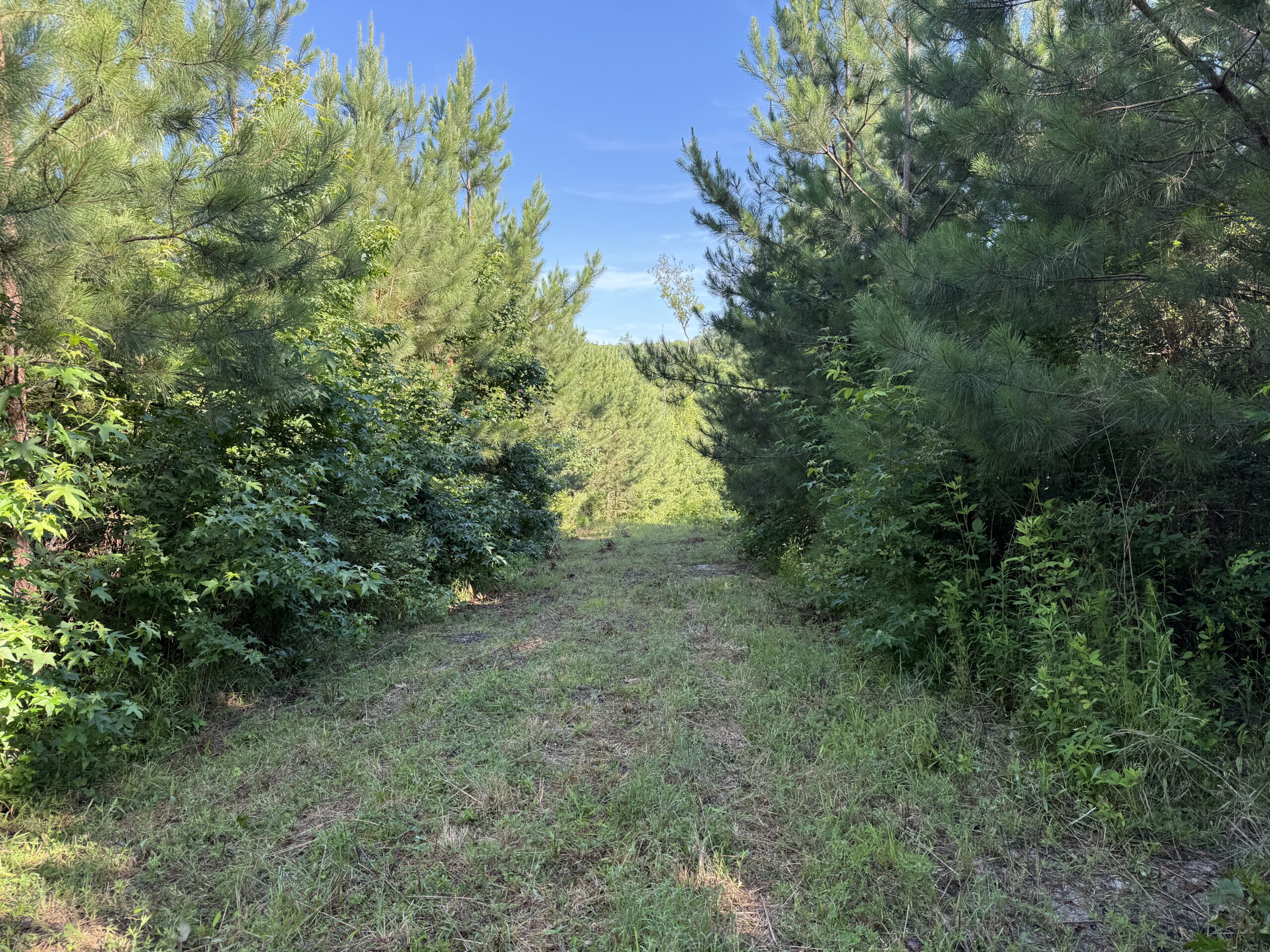 101 Acres on Roanoke River — Hunt, Fish & Build!