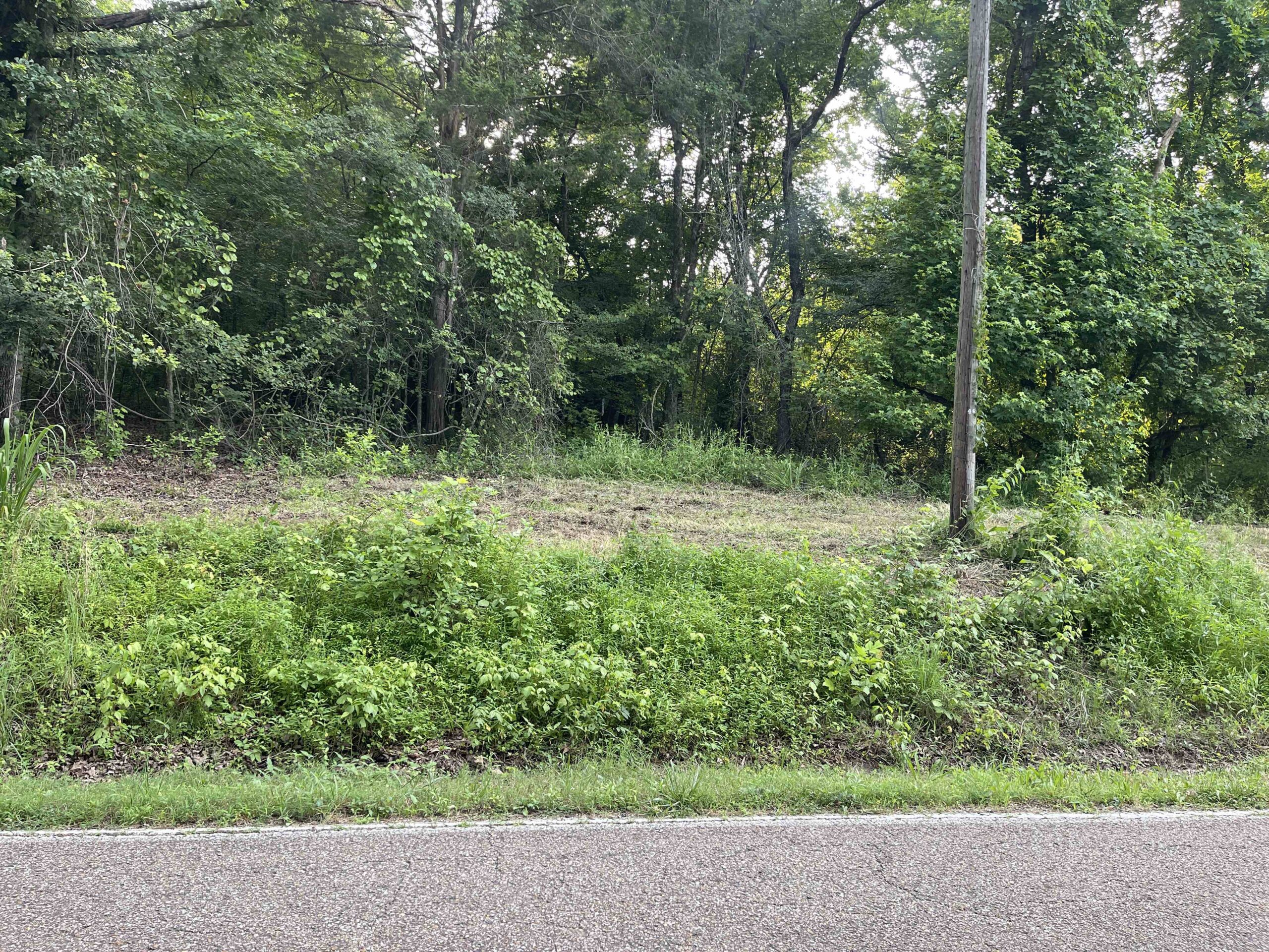 HUNTING LAND WITH SPRING / CREEK IN HARDIN COUNTY, 100 ACRES+/-