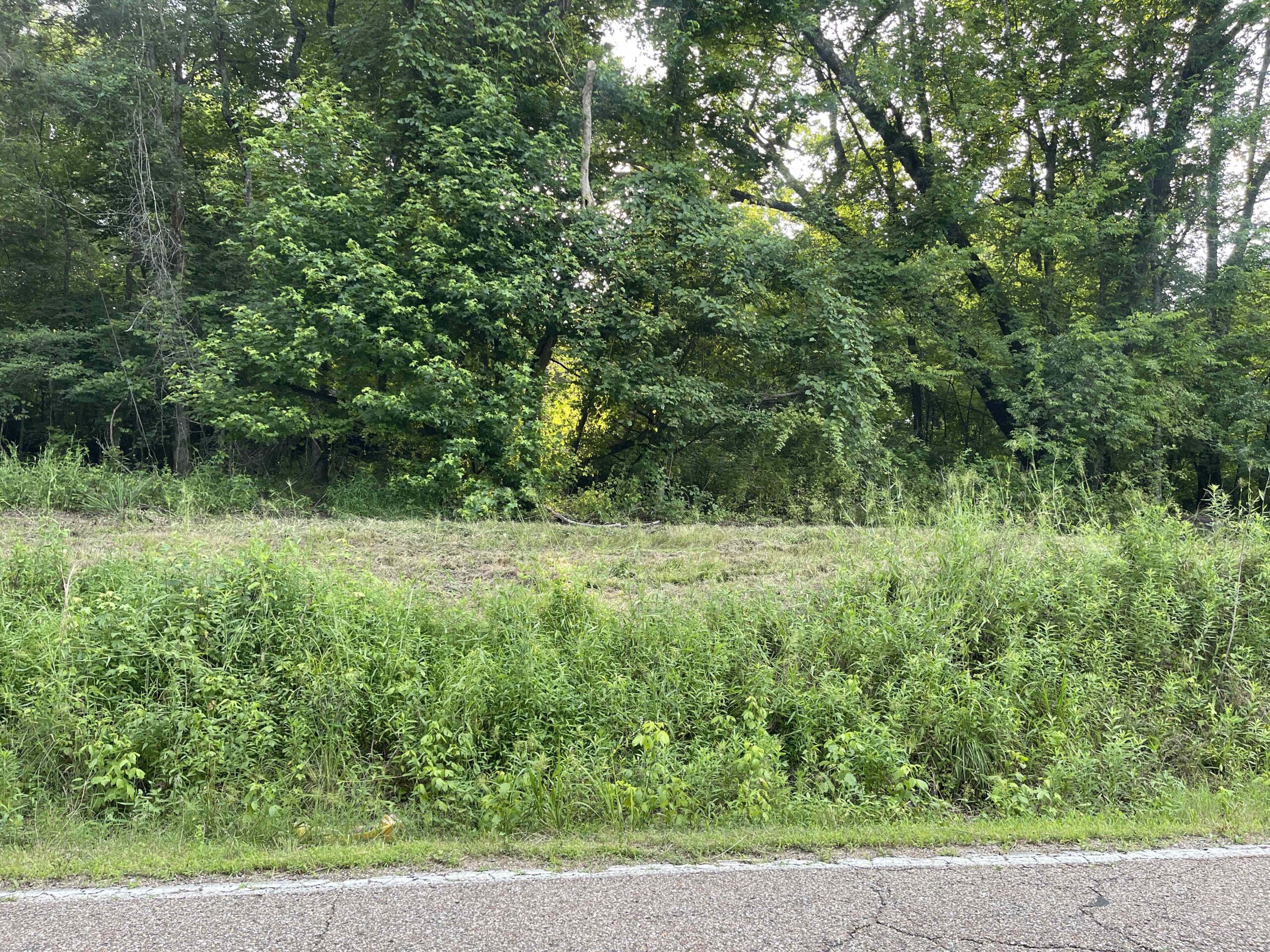HUNTING LAND WITH SPRING / CREEK IN HARDIN COUNTY, 100 ACRES+/-
