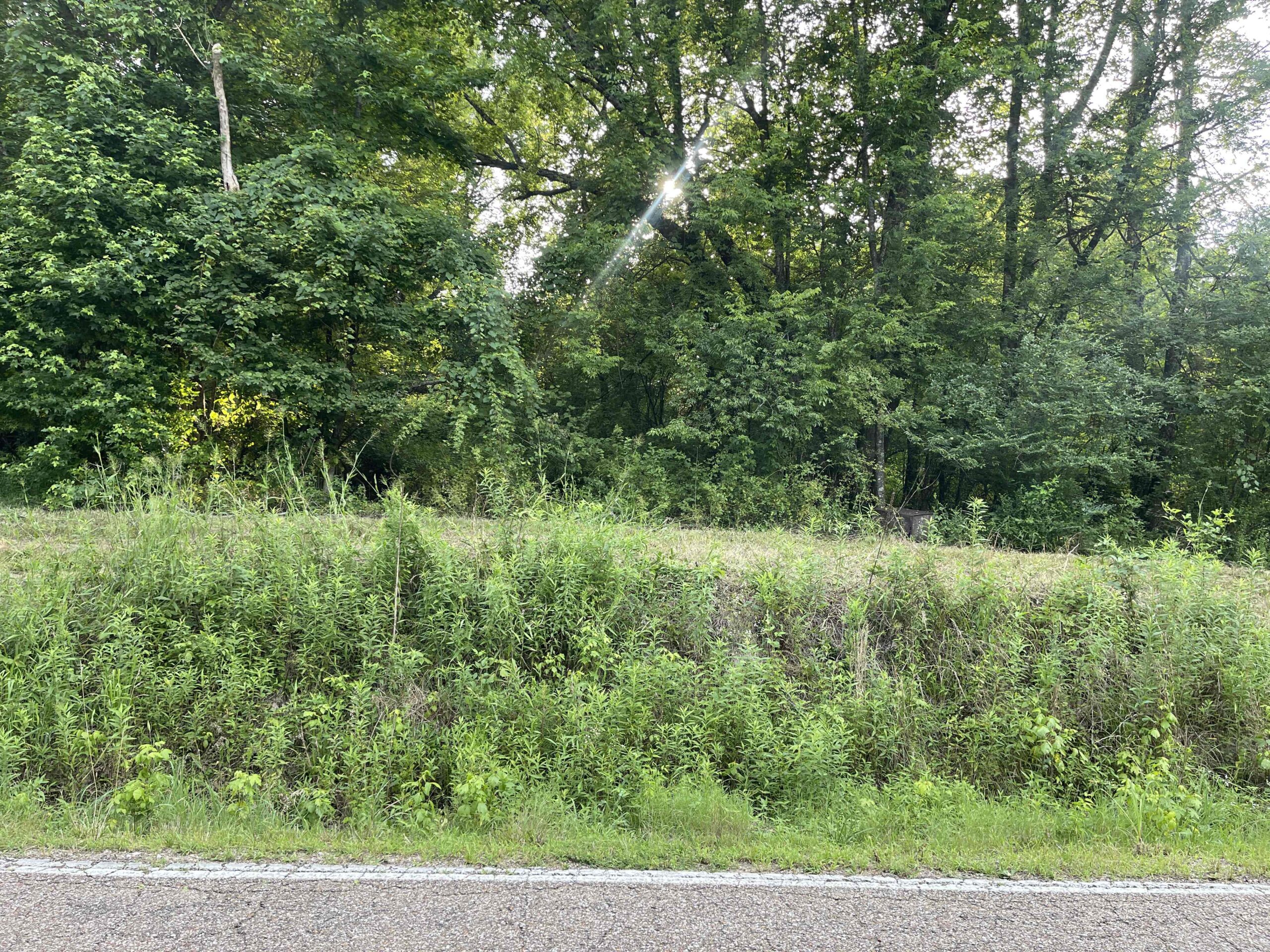 HUNTING LAND WITH SPRING / CREEK IN HARDIN COUNTY, 100 ACRES+/-
