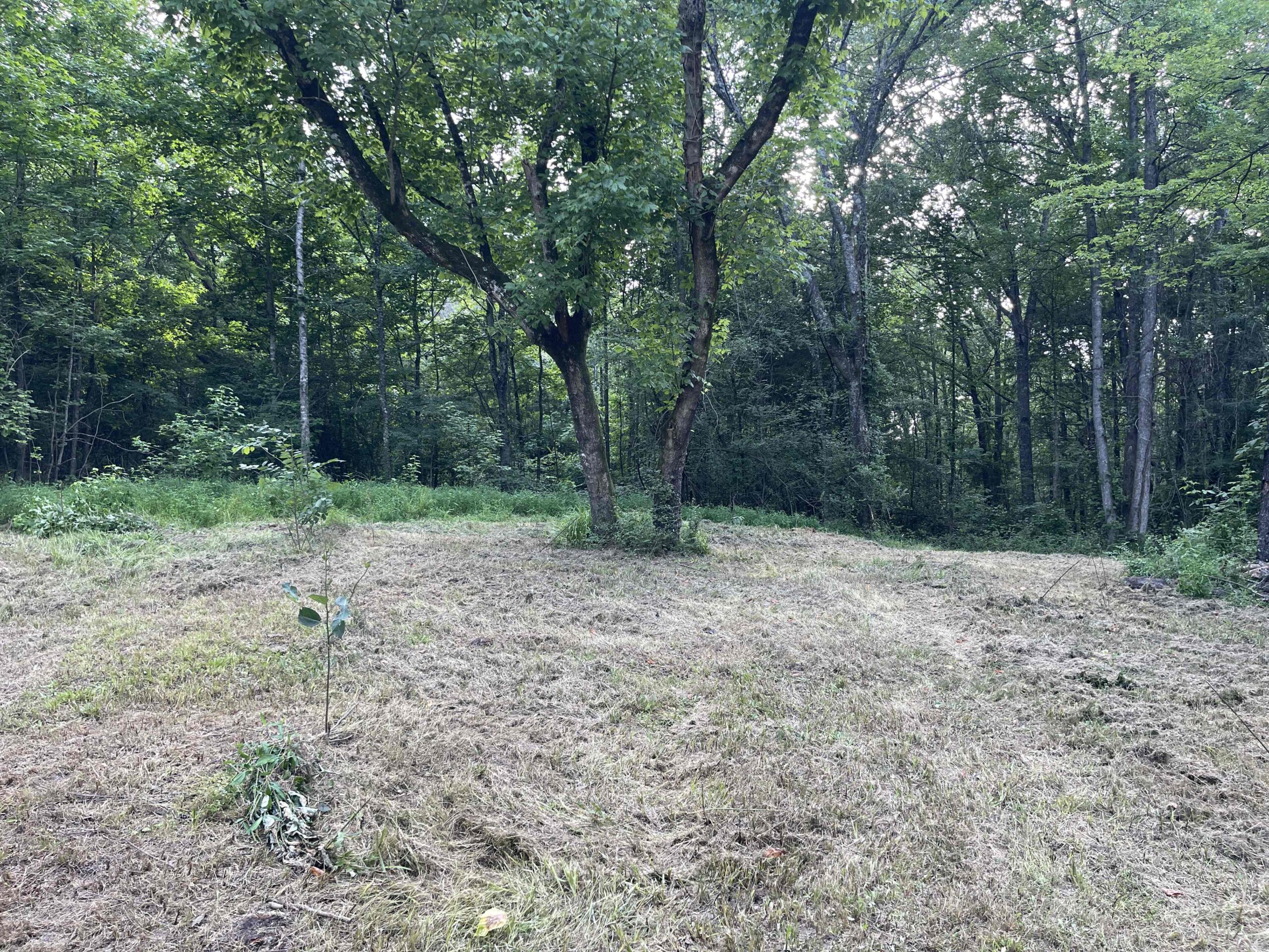HUNTING LAND WITH SPRING / CREEK IN HARDIN COUNTY, 100 ACRES+/-