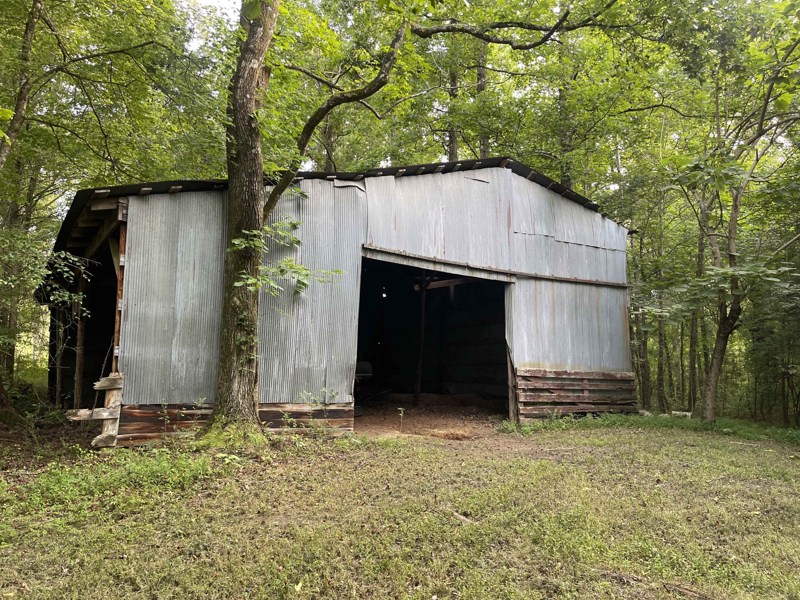 HUNTING LAND WITH SPRING / CREEK IN HARDIN COUNTY, 100 ACRES+/-