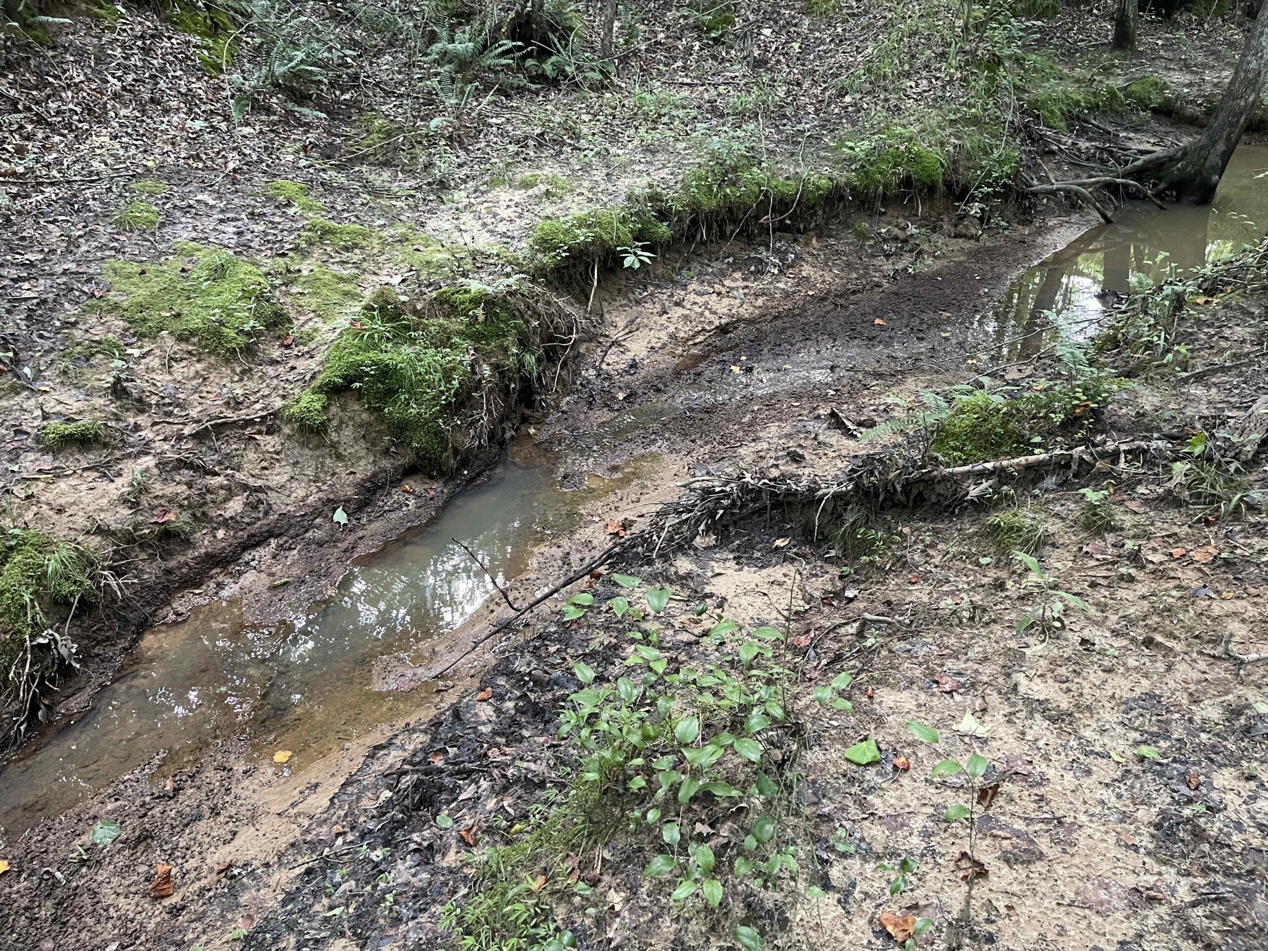 HUNTING LAND WITH SPRING / CREEK IN HARDIN COUNTY, 100 ACRES+/-