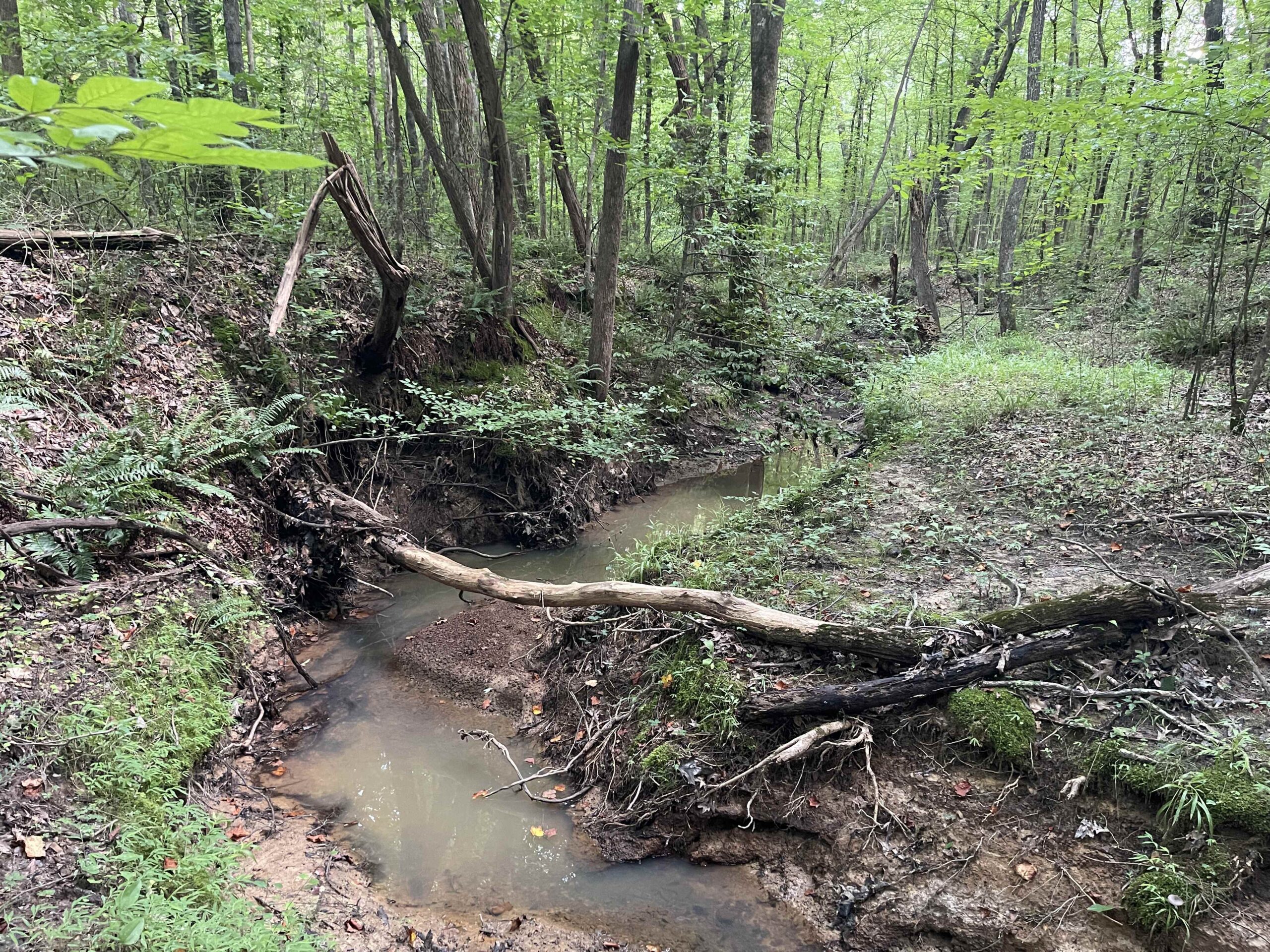 HUNTING LAND WITH SPRING / CREEK IN HARDIN COUNTY, 100 ACRES+/-
