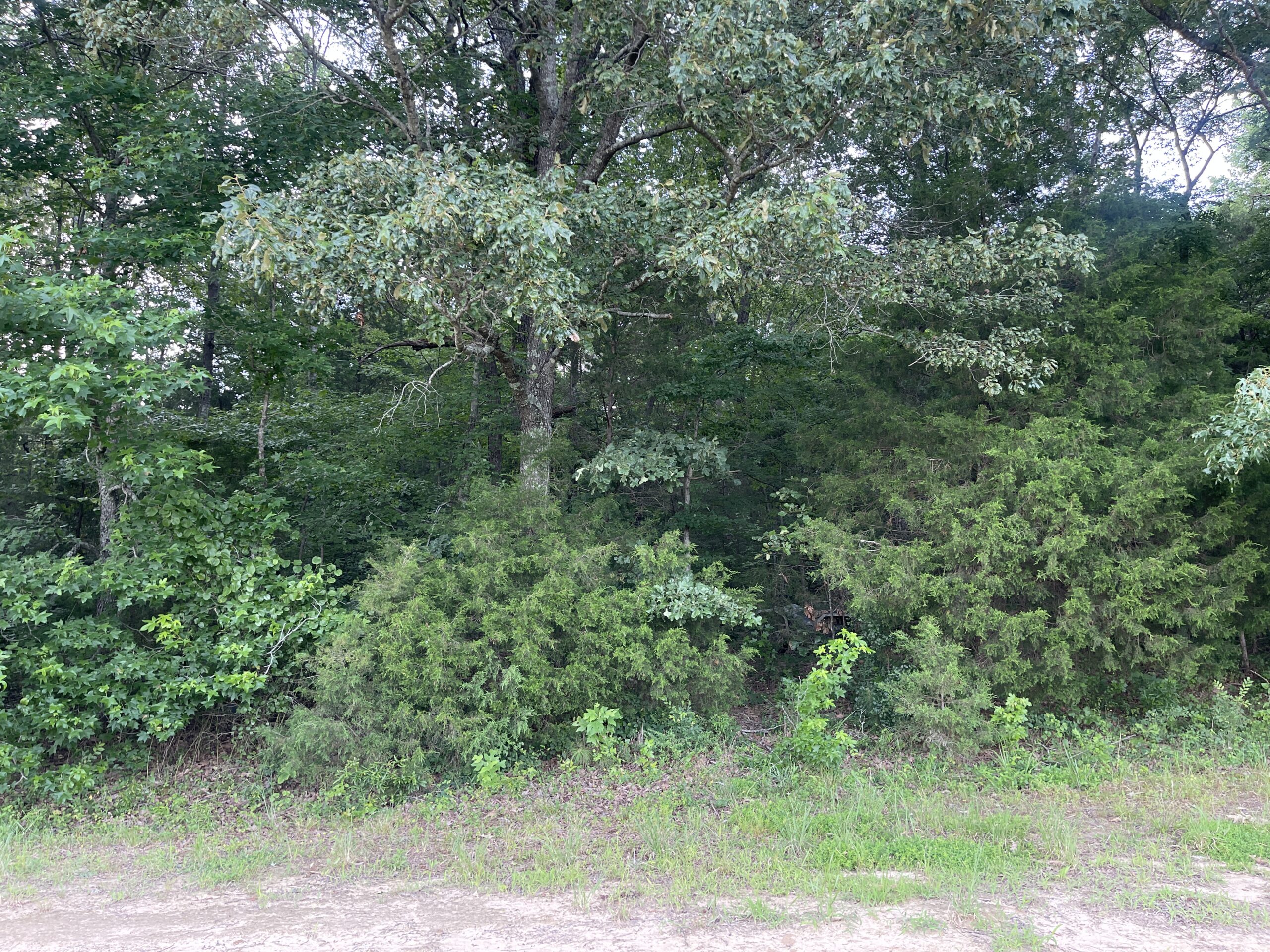 HUNTING LAND WITH SPRING / CREEK IN HARDIN COUNTY, 100 ACRES+/-