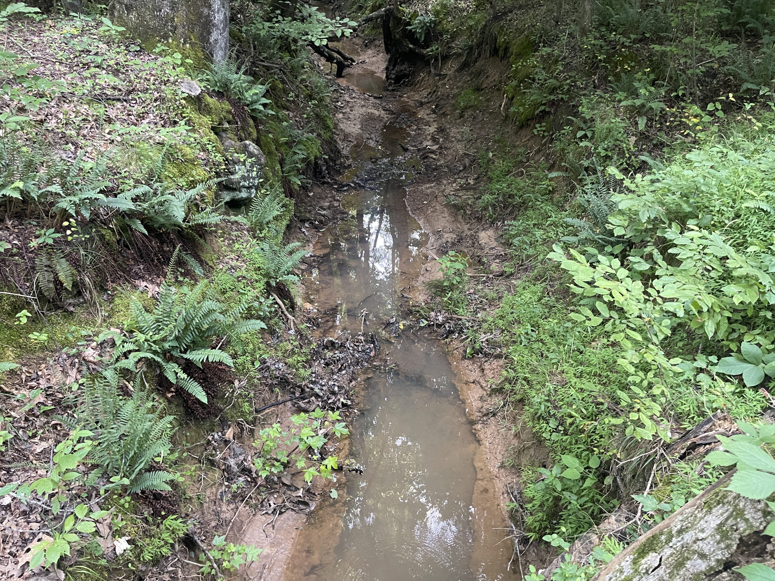 HUNTING LAND WITH SPRING / CREEK IN HARDIN COUNTY, 100 ACRES+/-