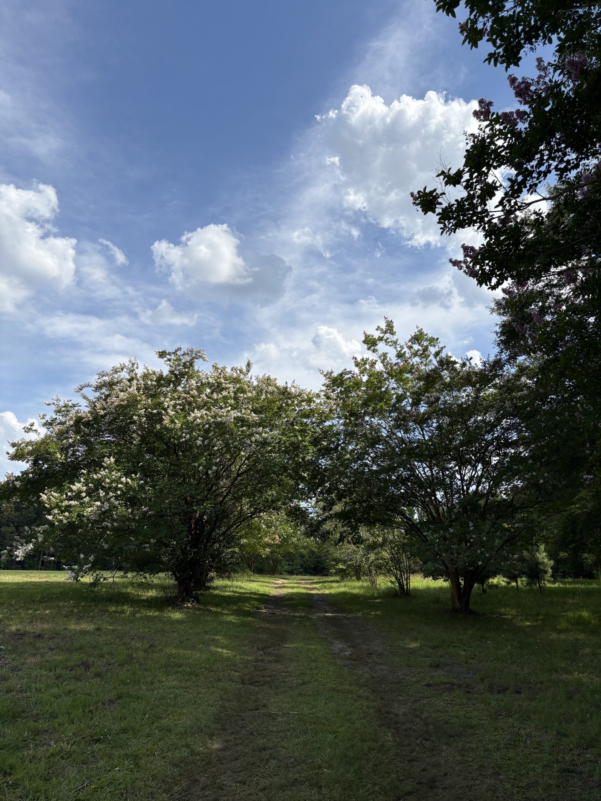23-AC Country Retreat with Two Homes in Pitt County, NC