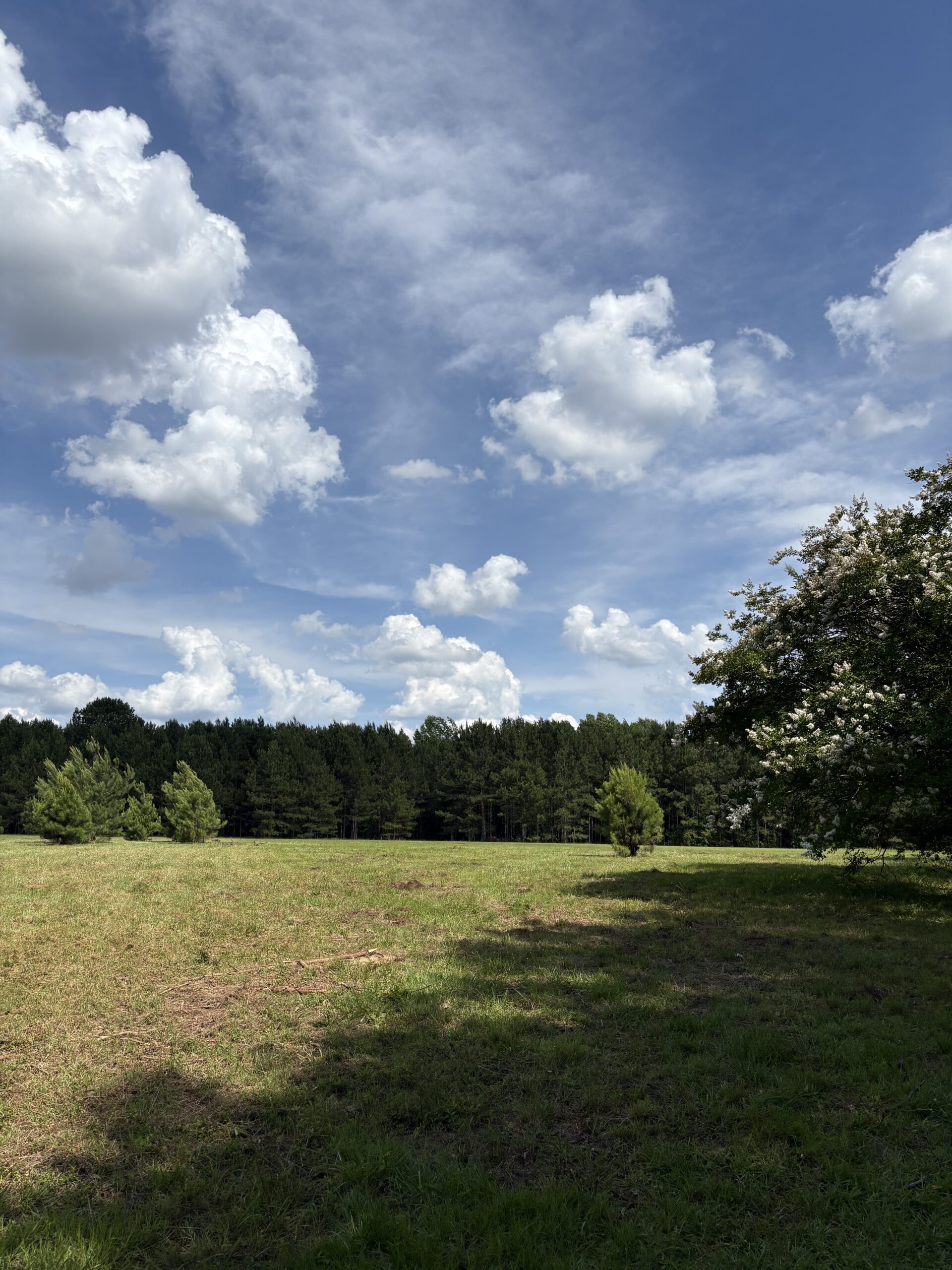 23-AC Country Retreat with Two Homes in Pitt County, NC