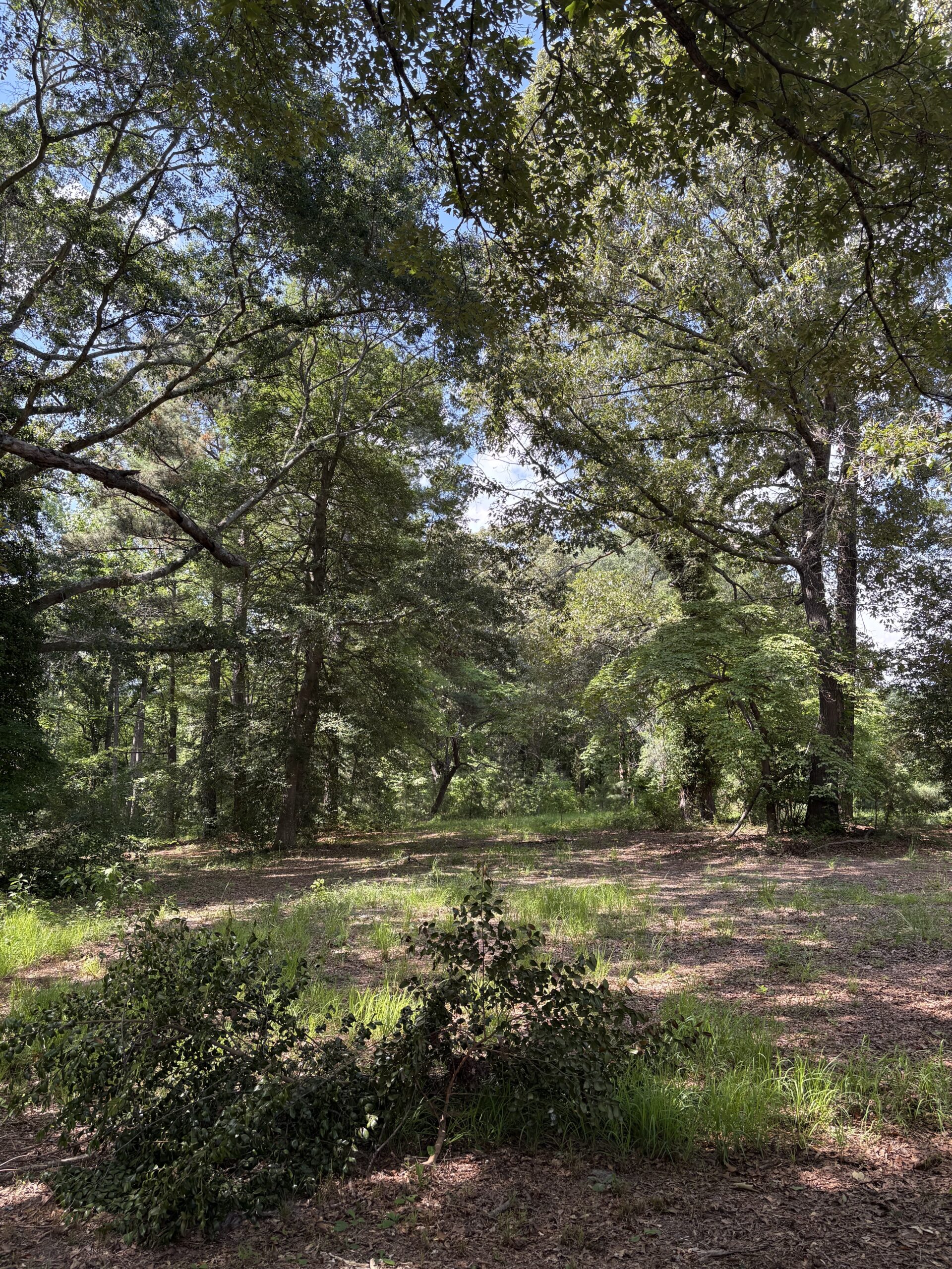 23-AC Country Retreat with Two Homes in Pitt County, NC