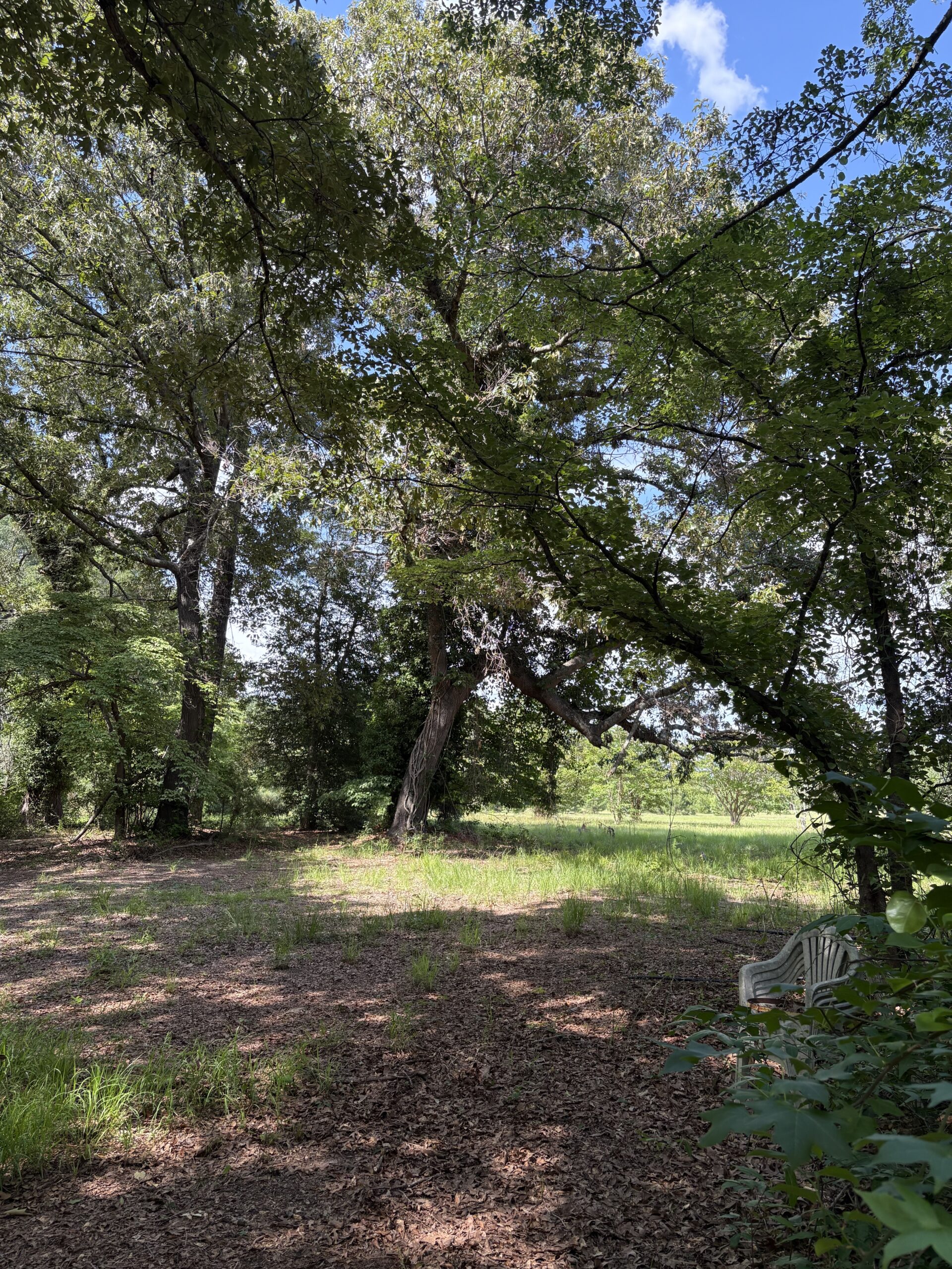 23-AC Country Retreat with Two Homes in Pitt County, NC