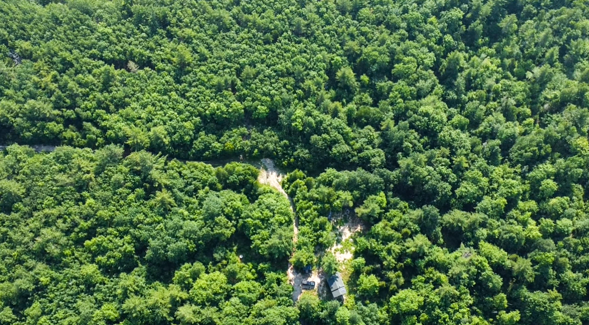 Off-Grid Camp on 40+ Acres – Township 24, Maine