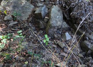 Secluded Hunting/Recreational Property Latimer County OK