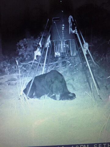 Secluded Hunting/Recreational Property Latimer County OK