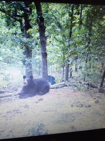 Secluded Hunting/Recreational Property Latimer County OK
