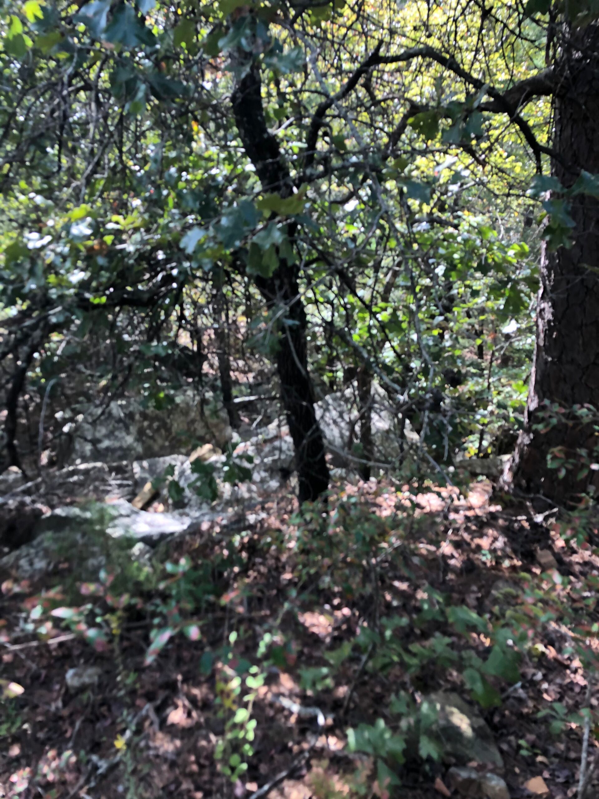 Secluded Hunting/Recreational Property Latimer County OK