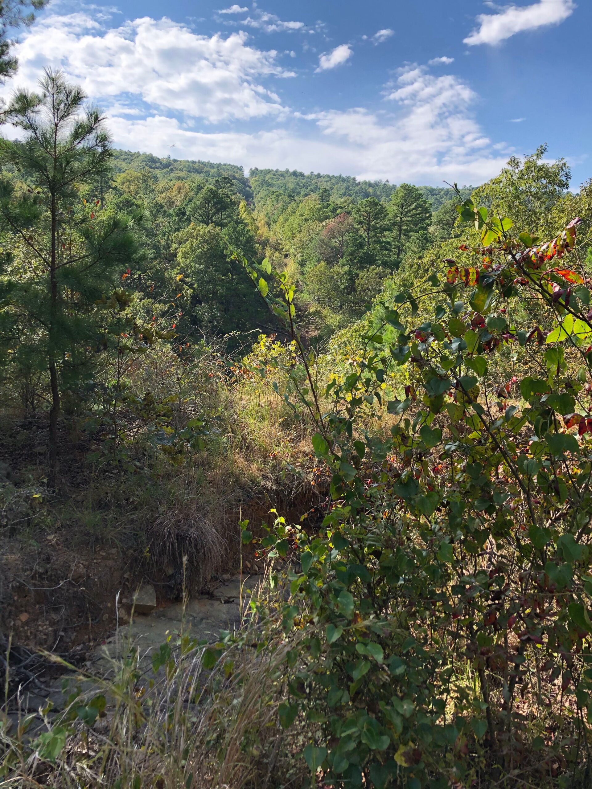 Secluded Hunting/Recreational Property Latimer County OK