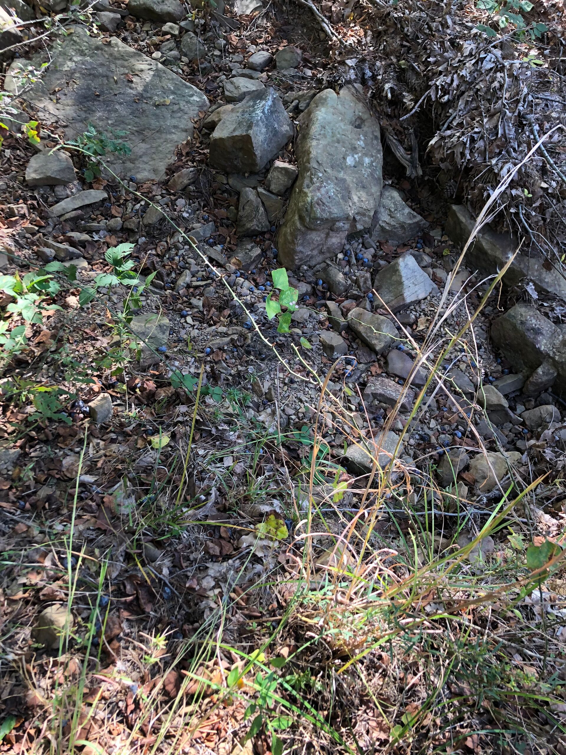 Secluded Hunting/Recreational Property Latimer County OK