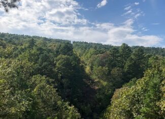 Secluded Hunting/Recreational Property Latimer County OK