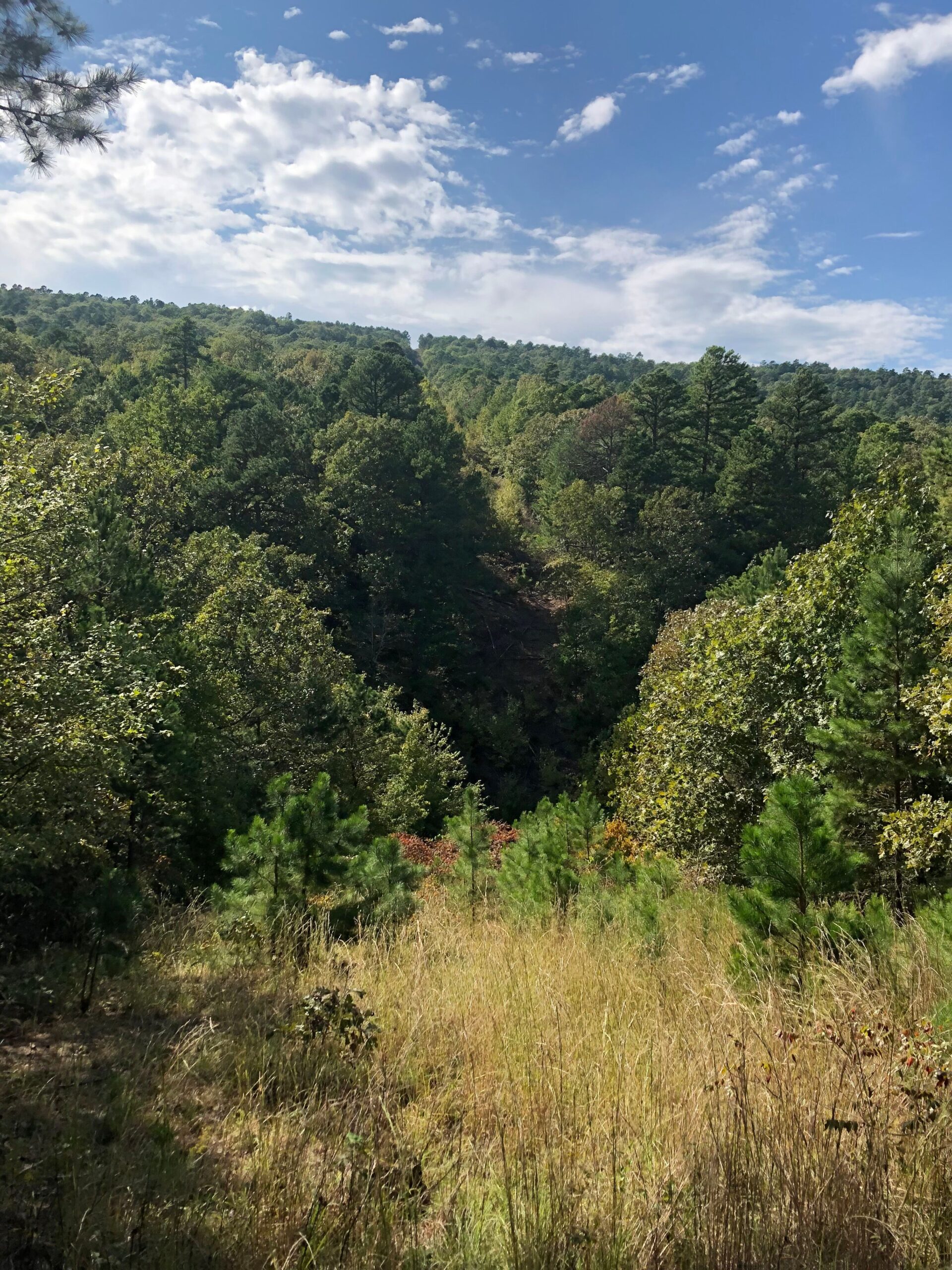 Secluded Hunting/Recreational Property Latimer County OK