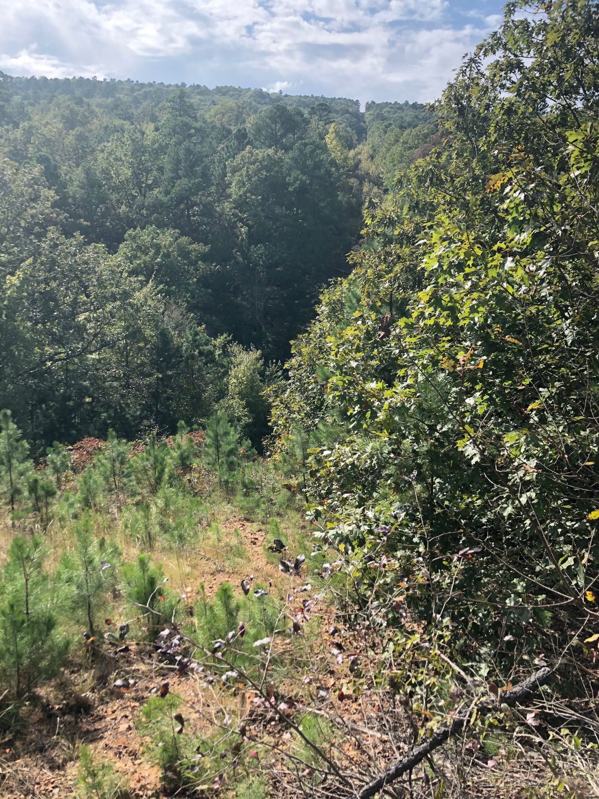 Secluded Hunting/Recreational Property Latimer County OK