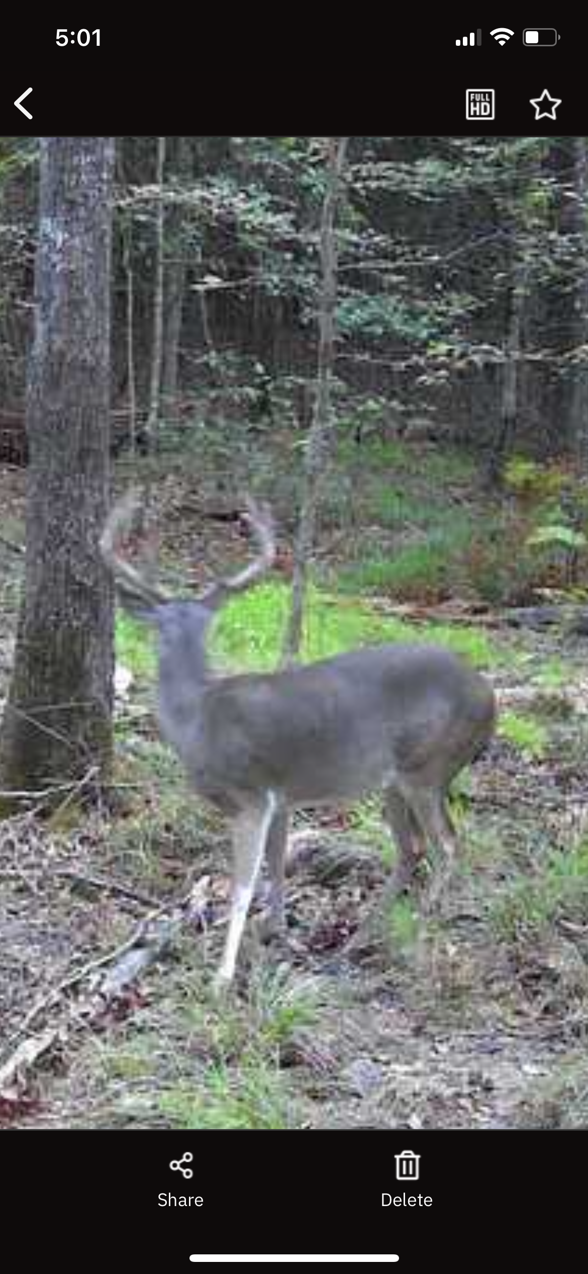 182+ Acres of Whitetail Paradise in Jefferson, TX