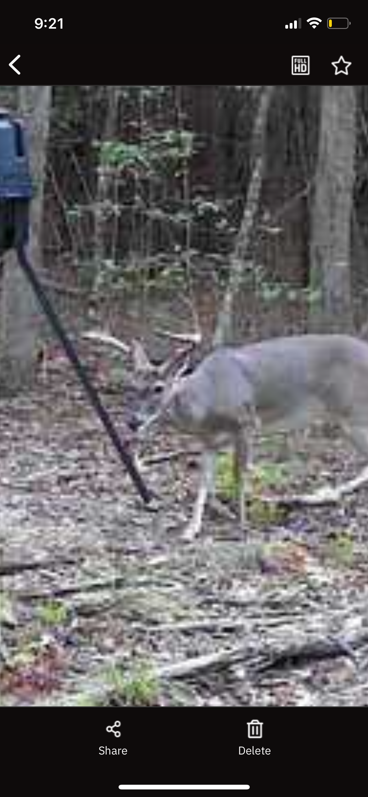 182+ Acres of Whitetail Paradise in Jefferson, TX