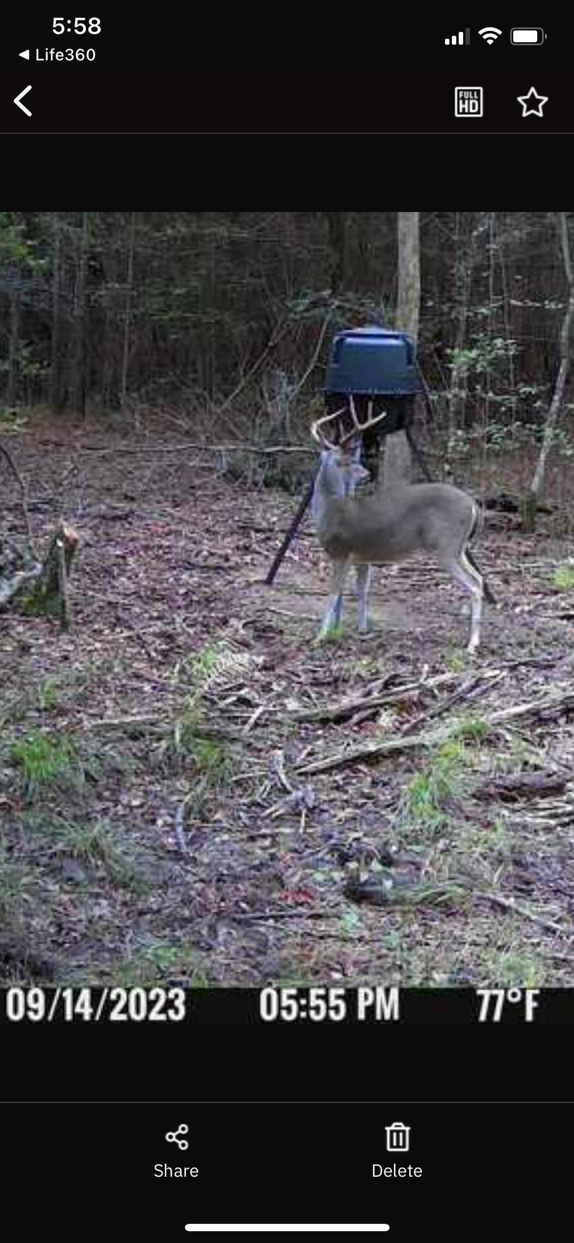 182+ Acres of Whitetail Paradise in Jefferson, TX