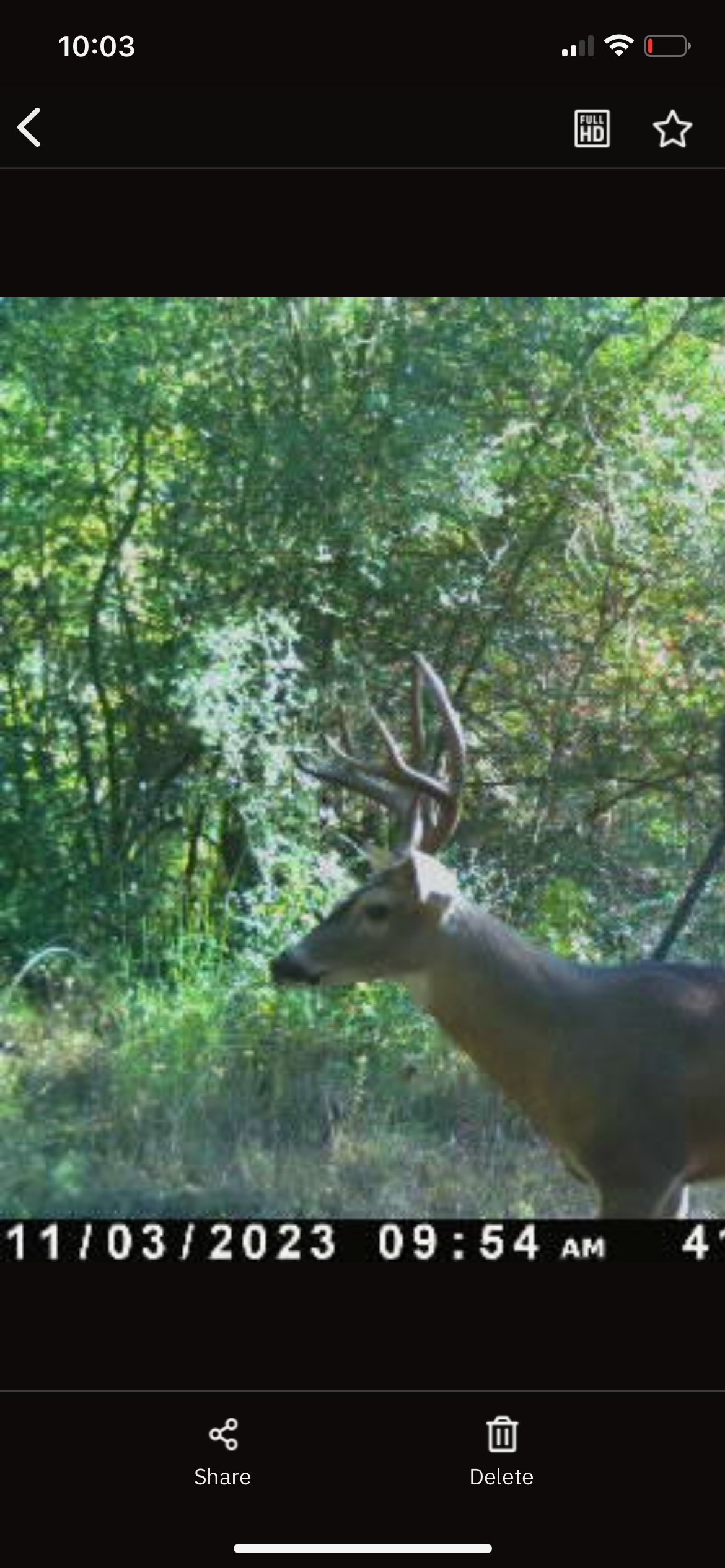 182+ Acres of Whitetail Paradise in Jefferson, TX