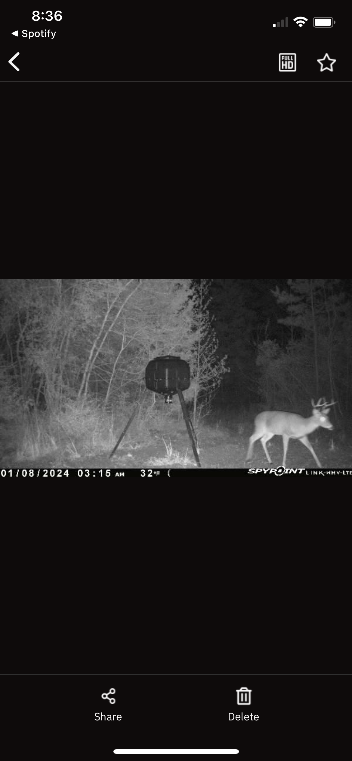 182+ Acres of Whitetail Paradise in Jefferson, TX