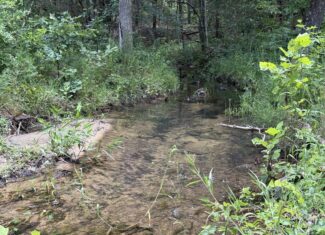 CABIN WITH LAND FOR SALE IN NORTH CENTRAL ARKANSAS