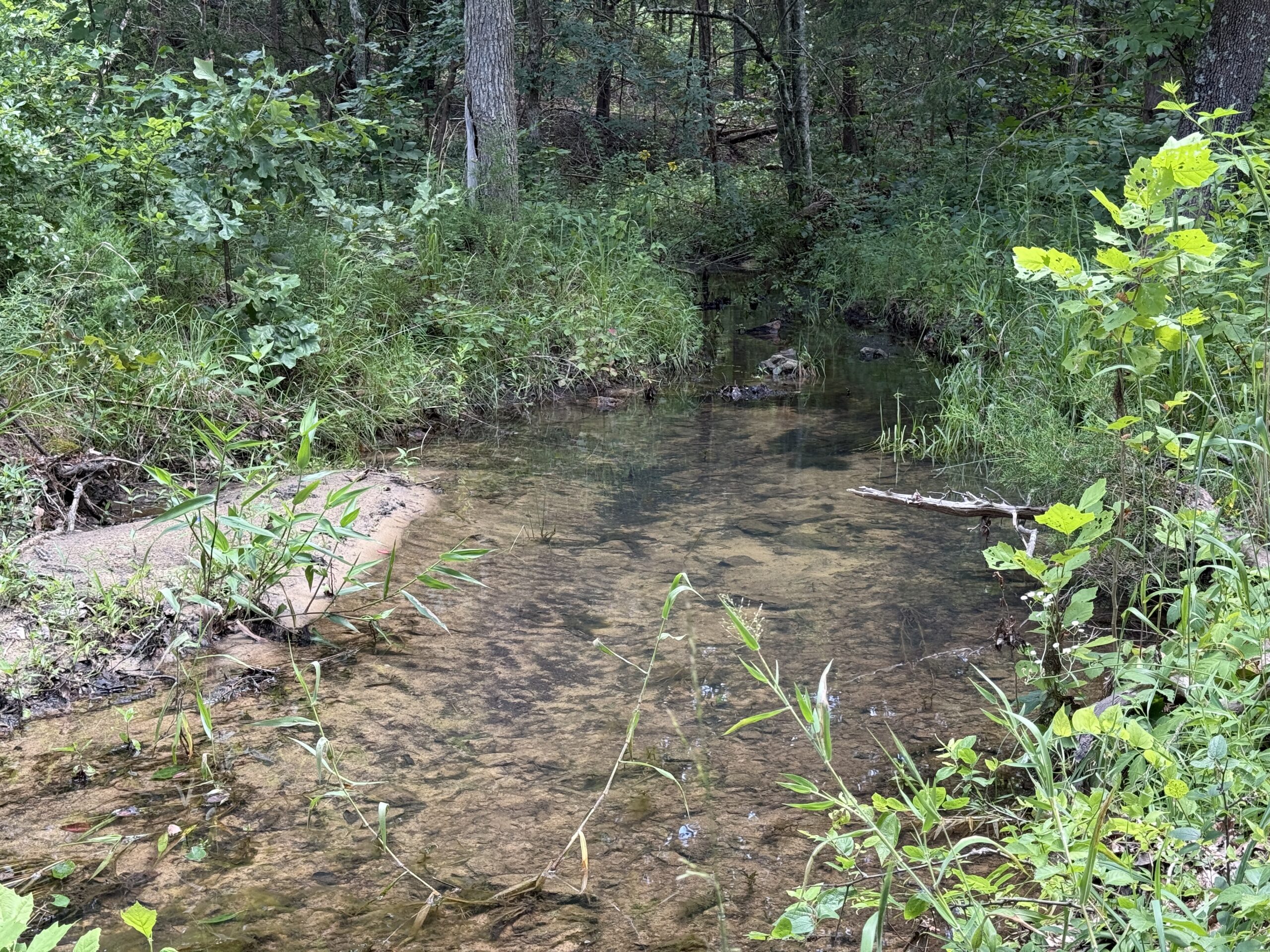 CABIN WITH LAND FOR SALE IN NORTH CENTRAL ARKANSAS