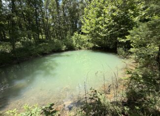 CABIN WITH LAND FOR SALE IN NORTH CENTRAL ARKANSAS