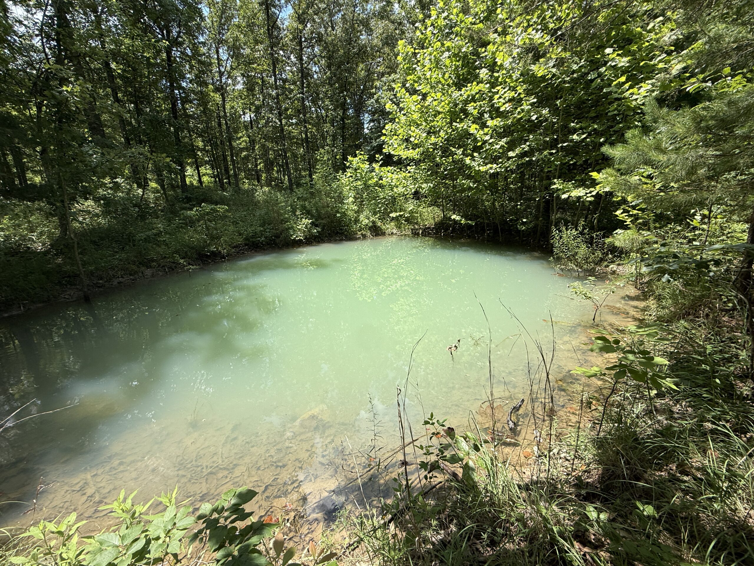 CABIN WITH LAND FOR SALE IN NORTH CENTRAL ARKANSAS