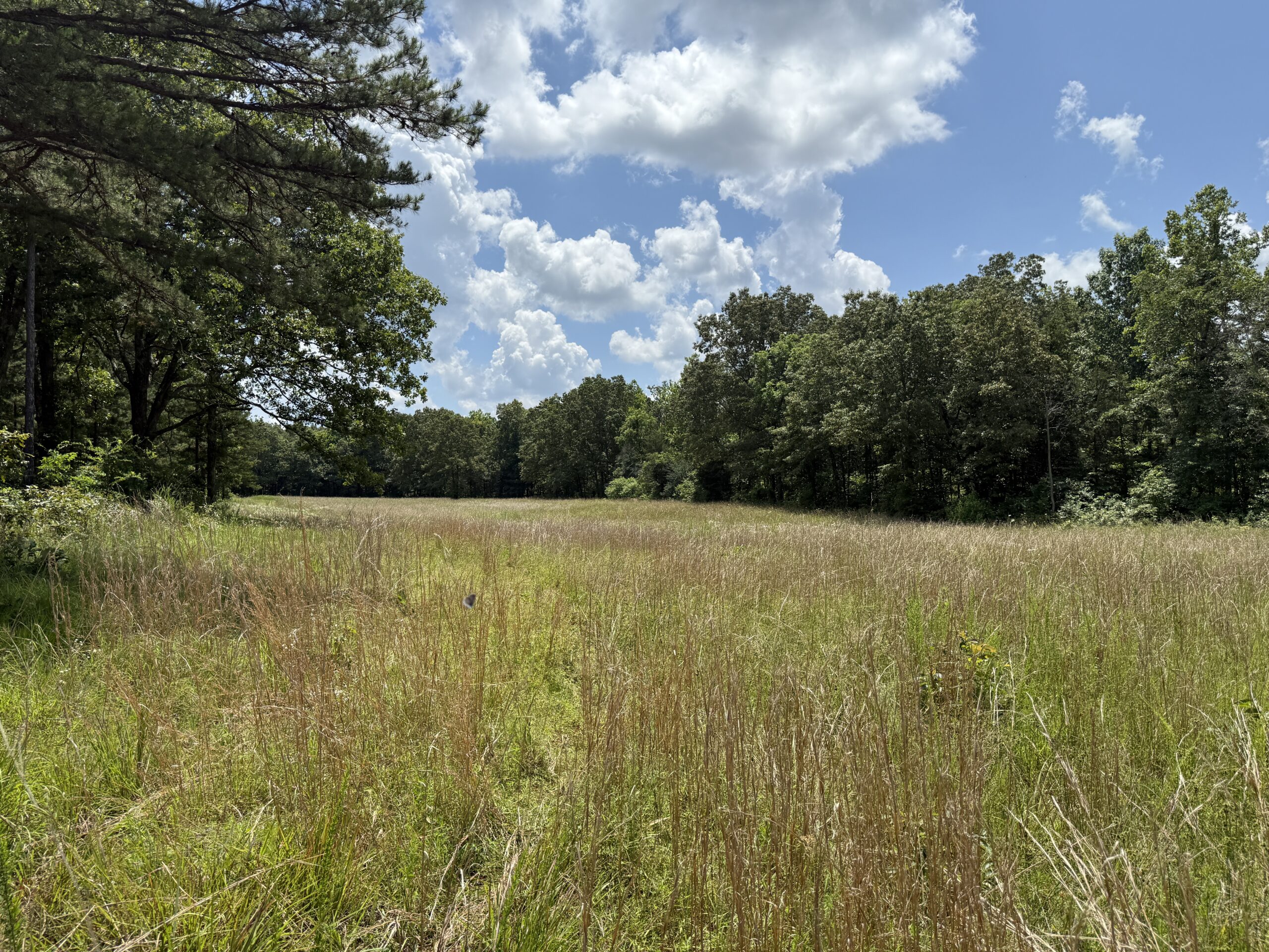 CABIN WITH LAND FOR SALE IN NORTH CENTRAL ARKANSAS
