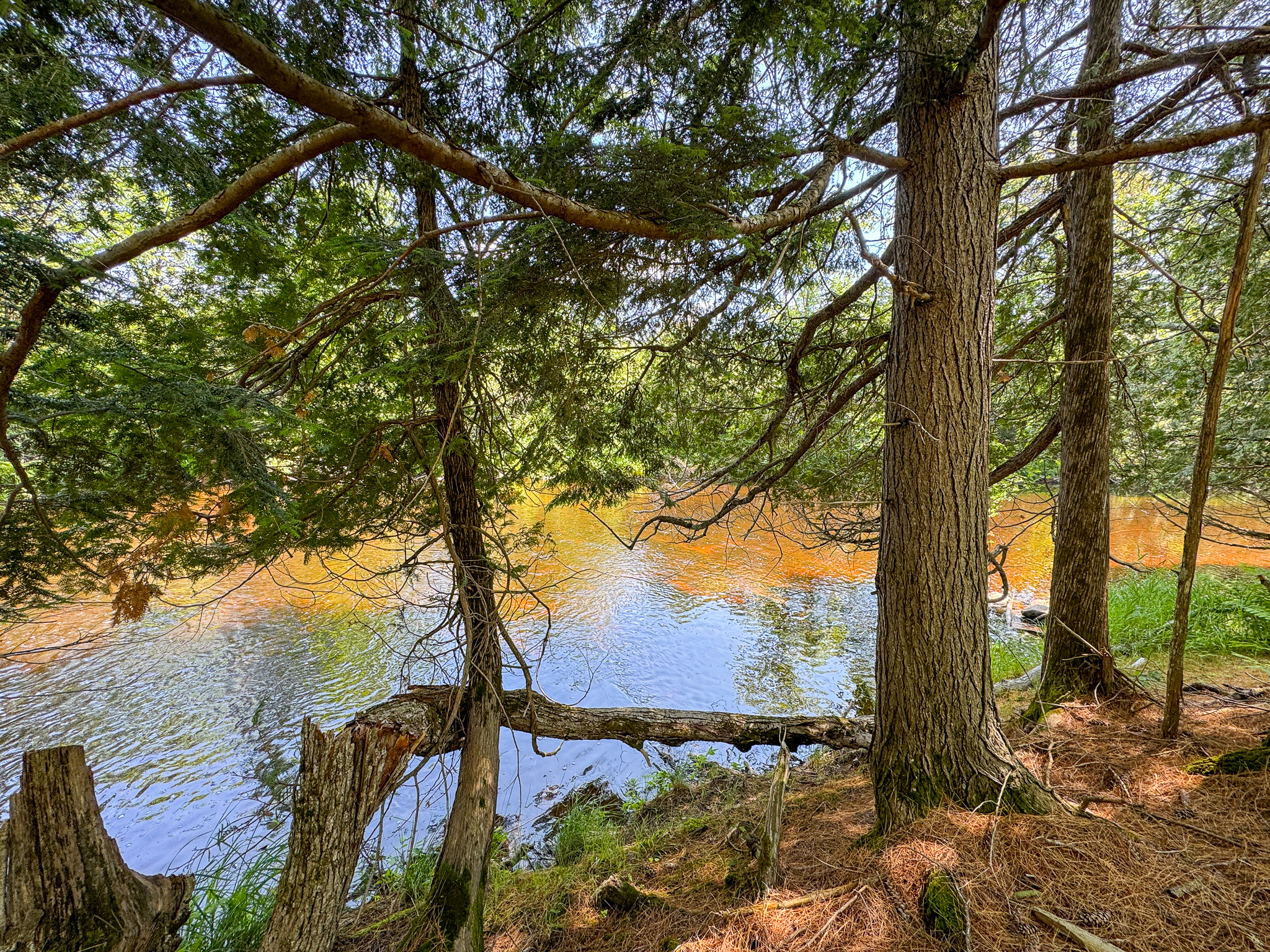 16.5 Acre Parcel with Stream Frontage