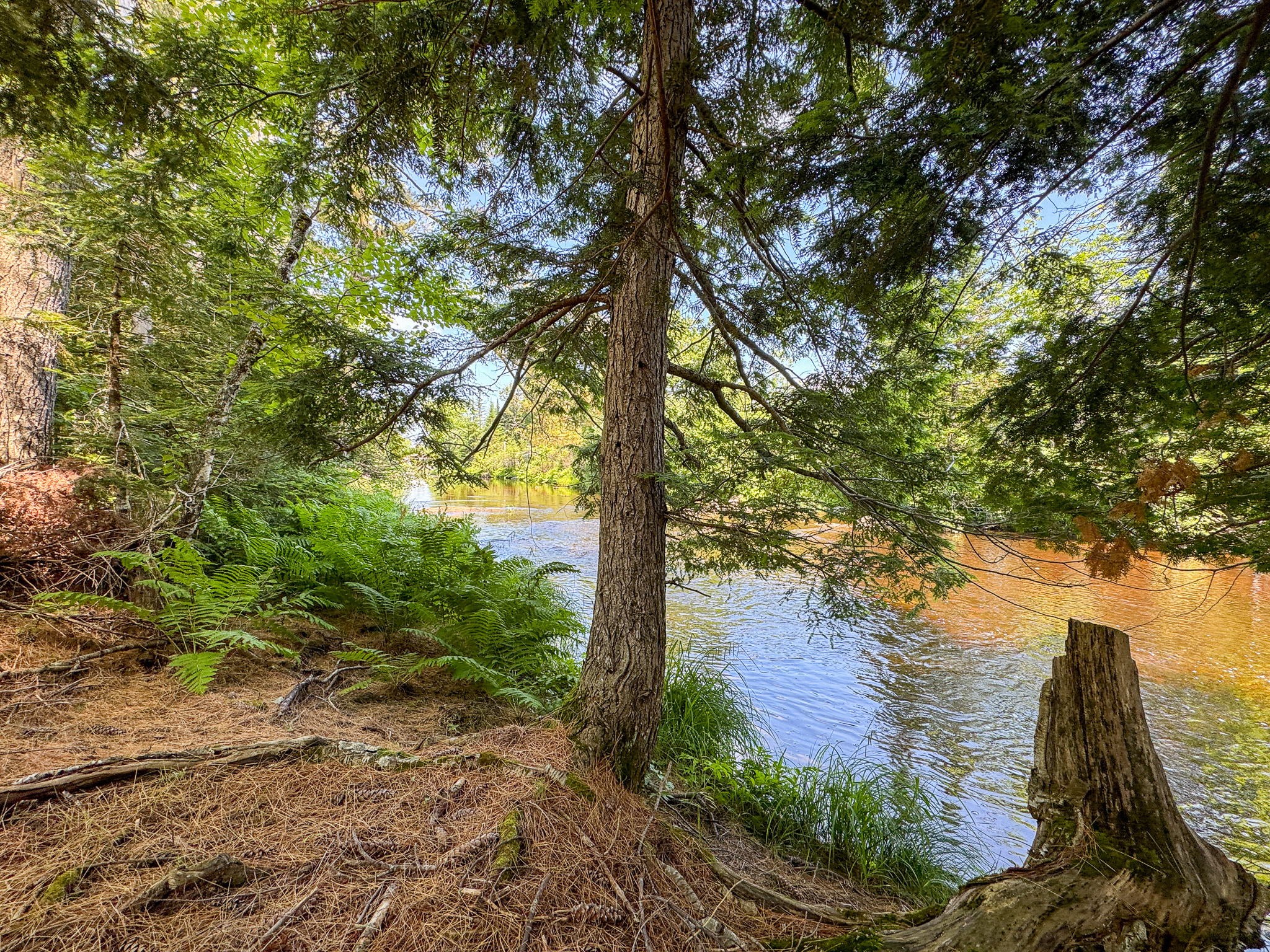 16.5 Acre Parcel with Stream Frontage