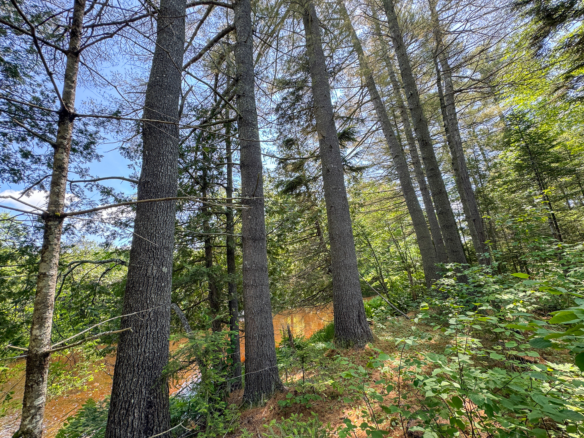 16.5 Acre Parcel with Stream Frontage