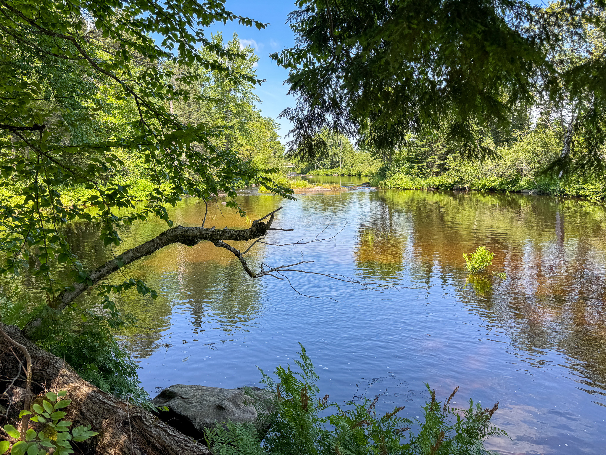 16.5 Acre Parcel with Stream Frontage