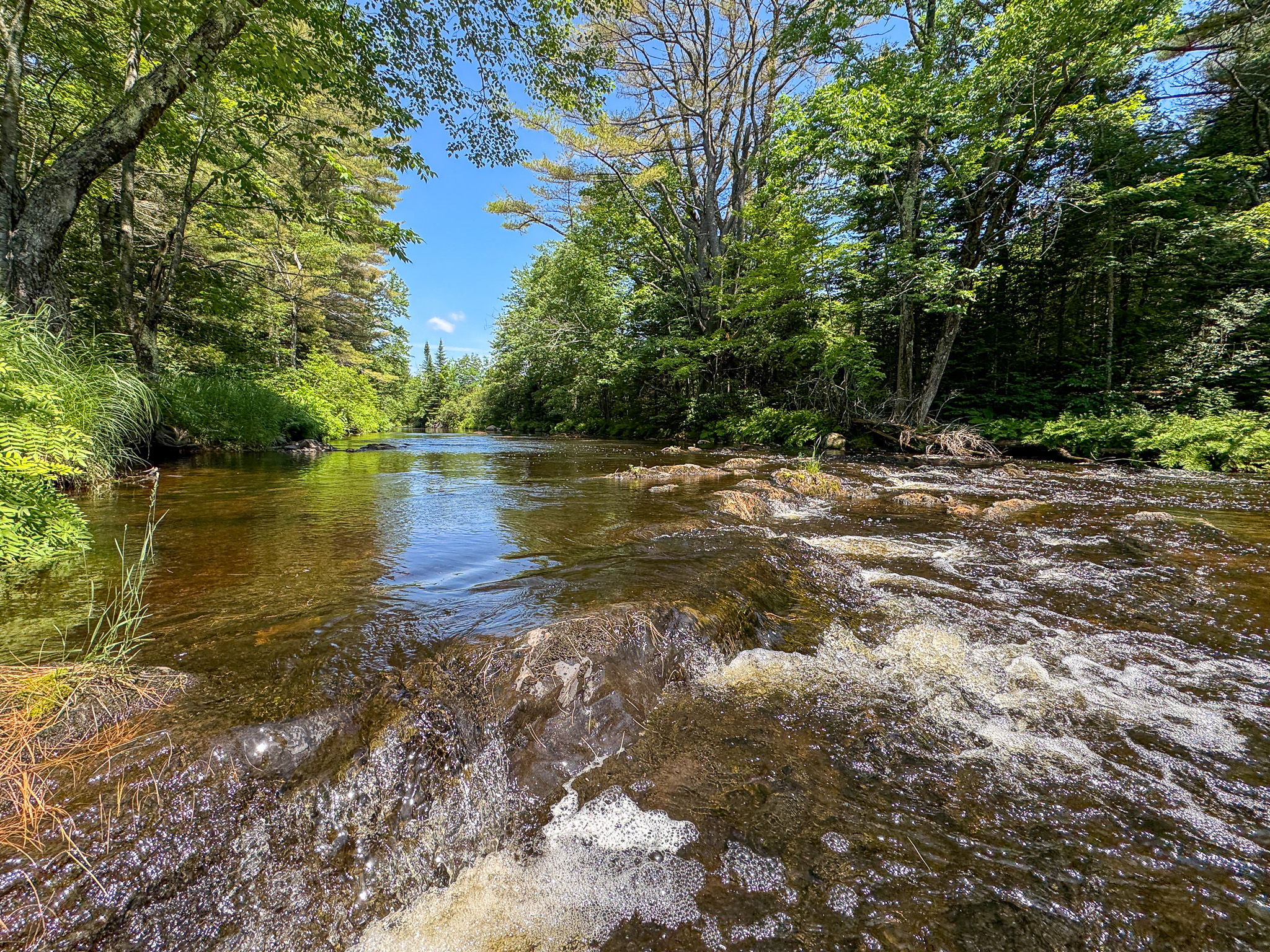 16.5 Acre Parcel with Stream Frontage