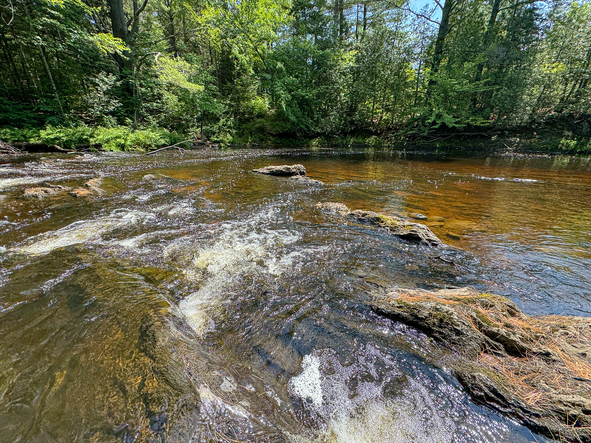 16.5 Acre Parcel with Stream Frontage
