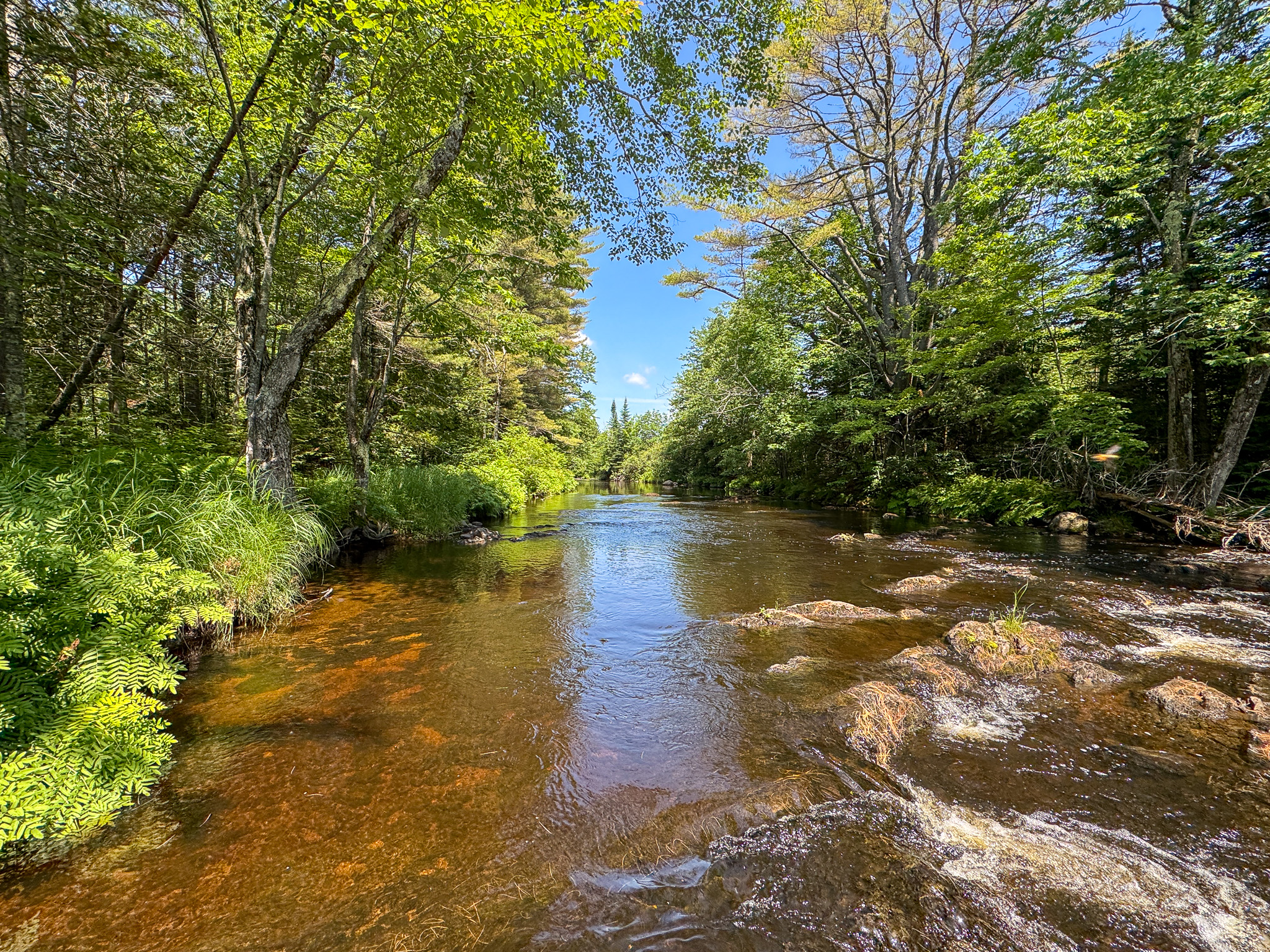 16.5 Acre Parcel with Stream Frontage