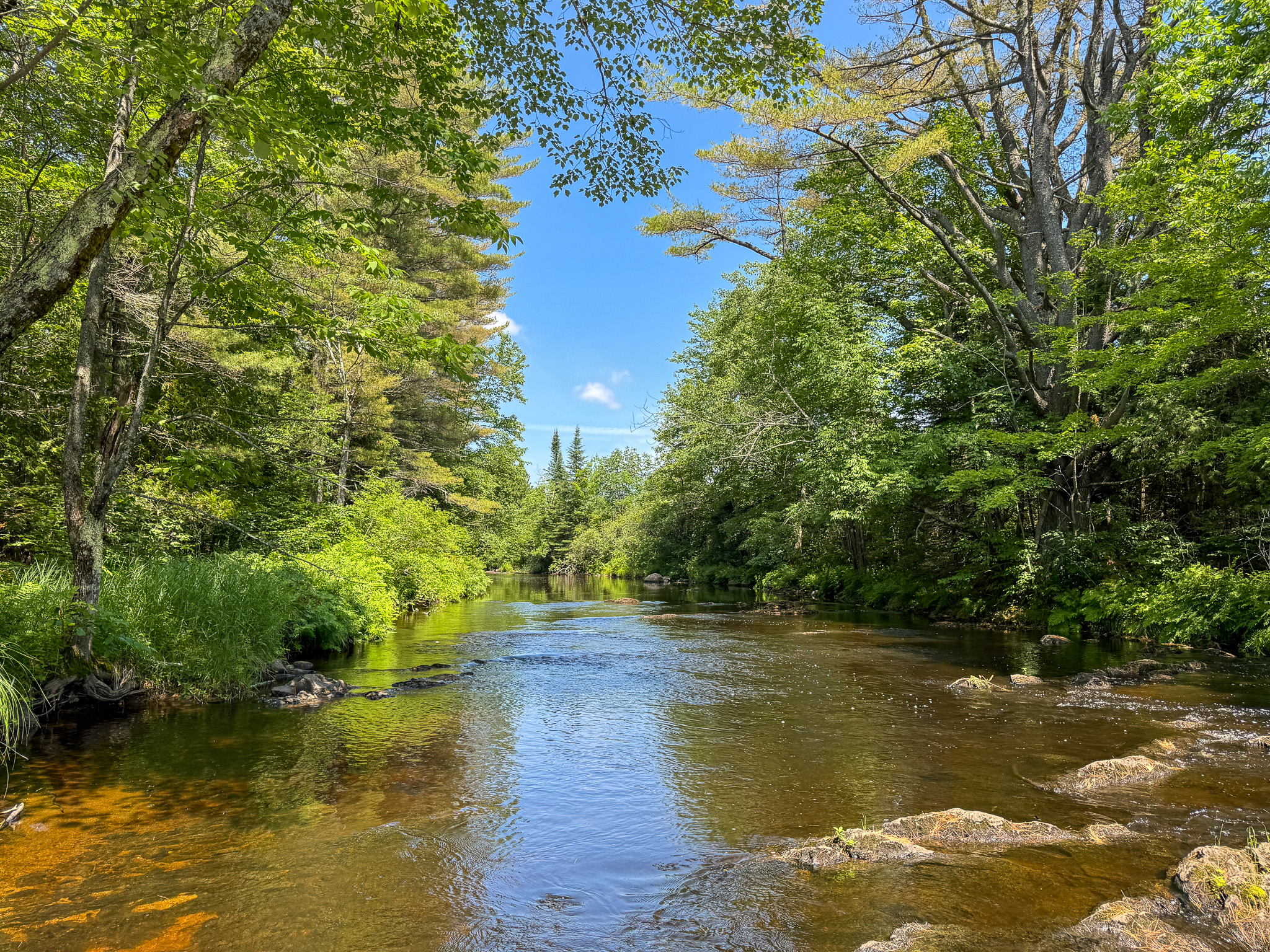 16.5 Acre Parcel with Stream Frontage