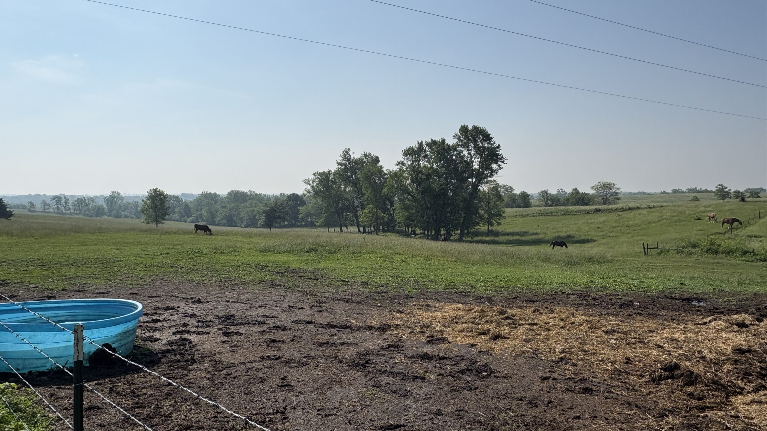Charming Manufactured Home on 6.4 Acres with Outbuildings