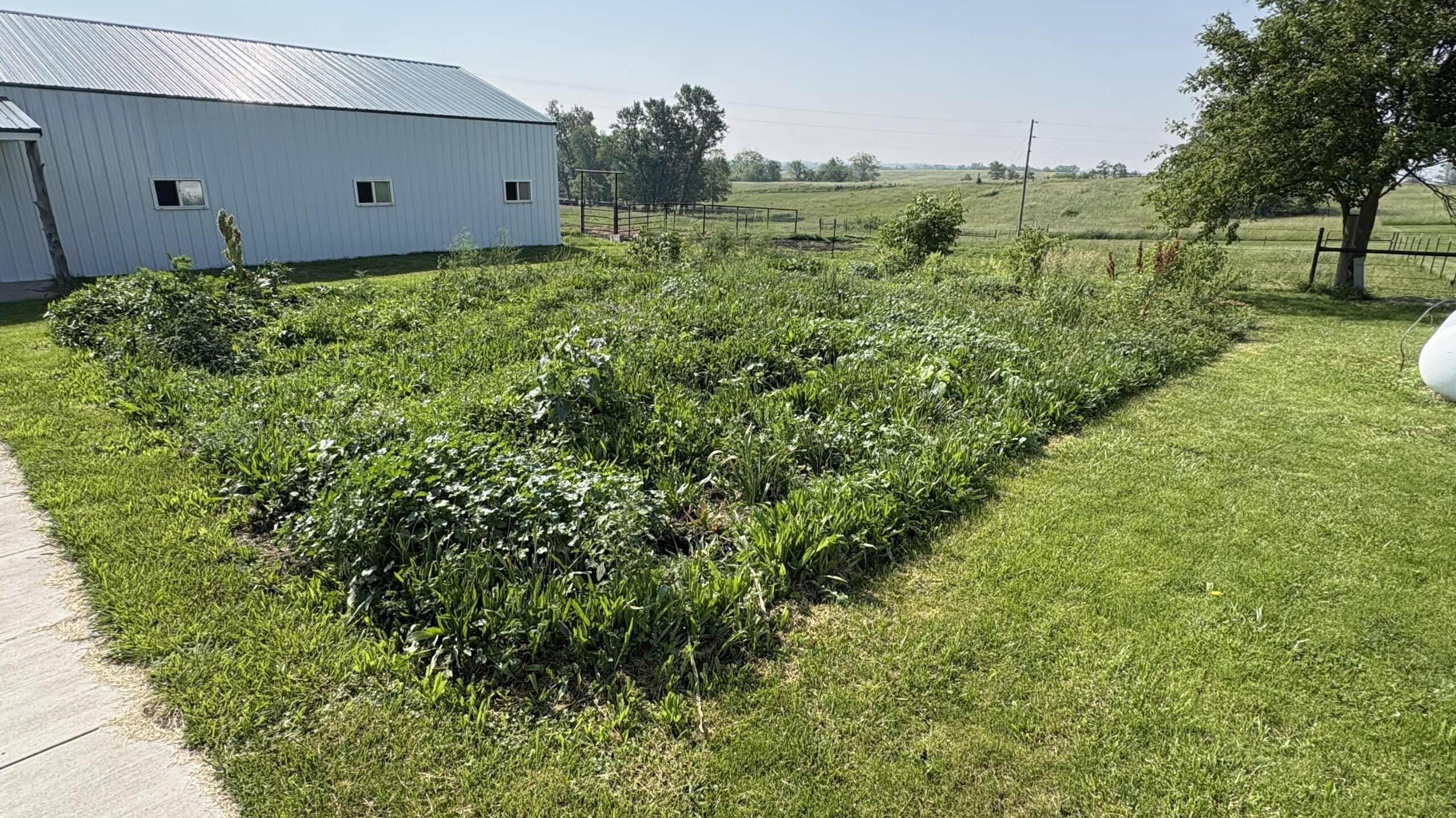 Charming Manufactured Home on 6.4 Acres with Outbuildings