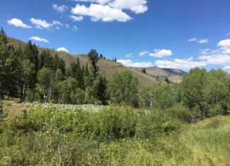 North Colorado Outfitting Business for sale (NO DEEDED PROPERTY)