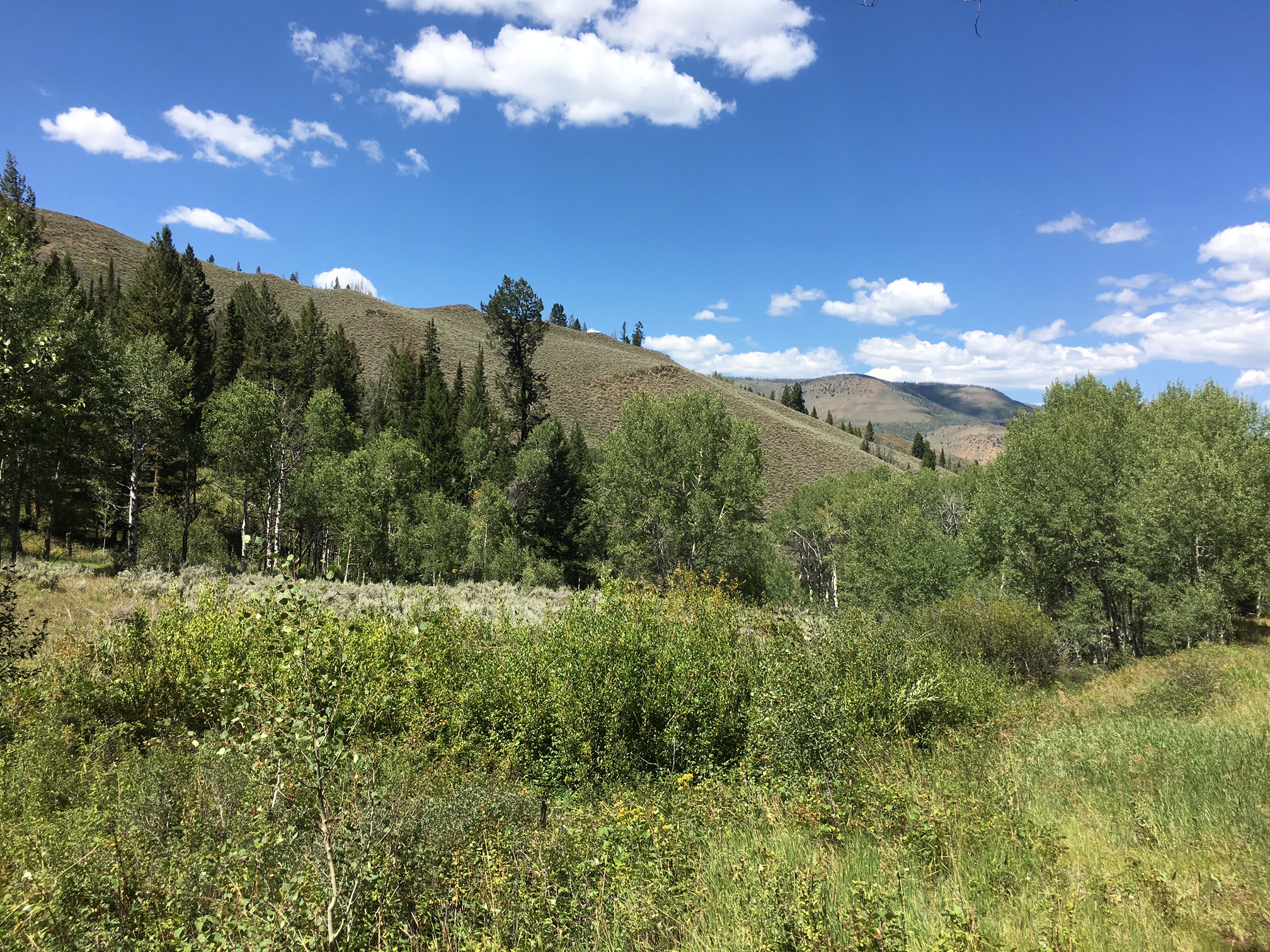 North Colorado Outfitting Business for sale (NO DEEDED PROPERTY)